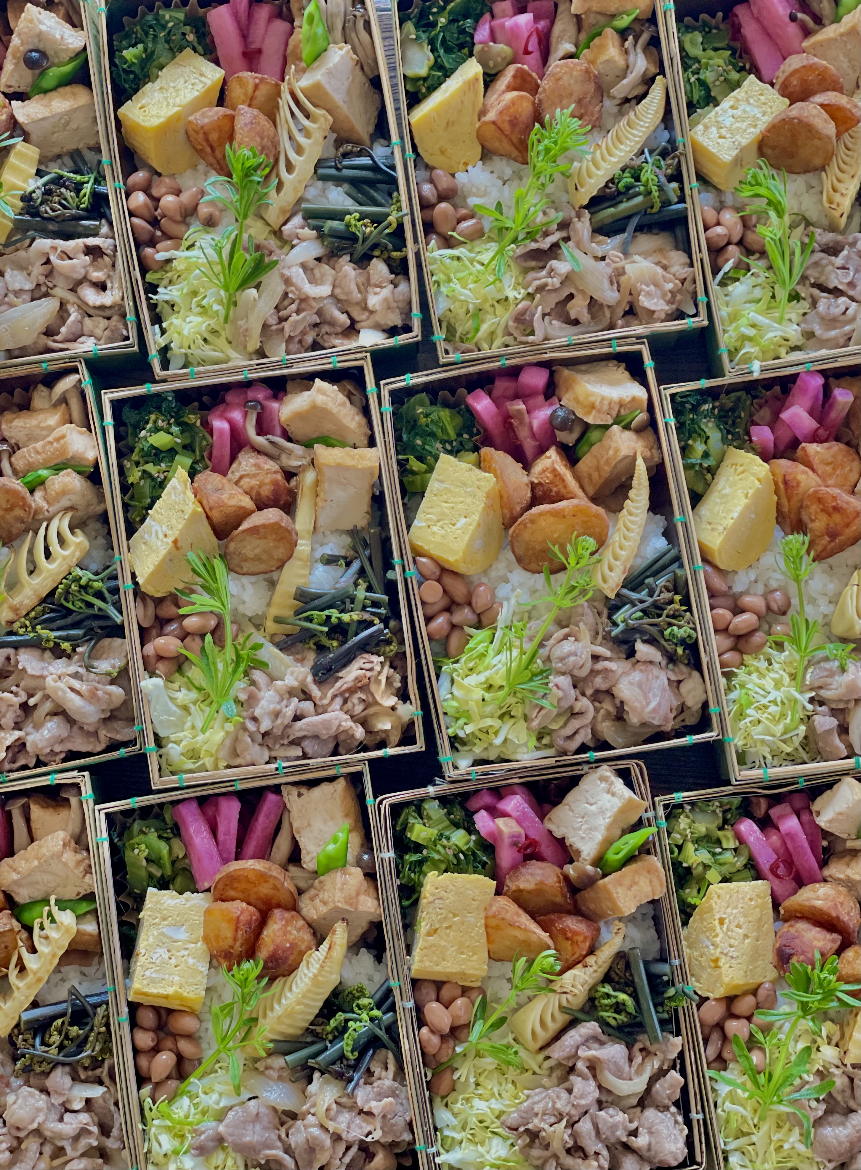 昨日(4/20㊏)のバルヤンナイクのお弁当