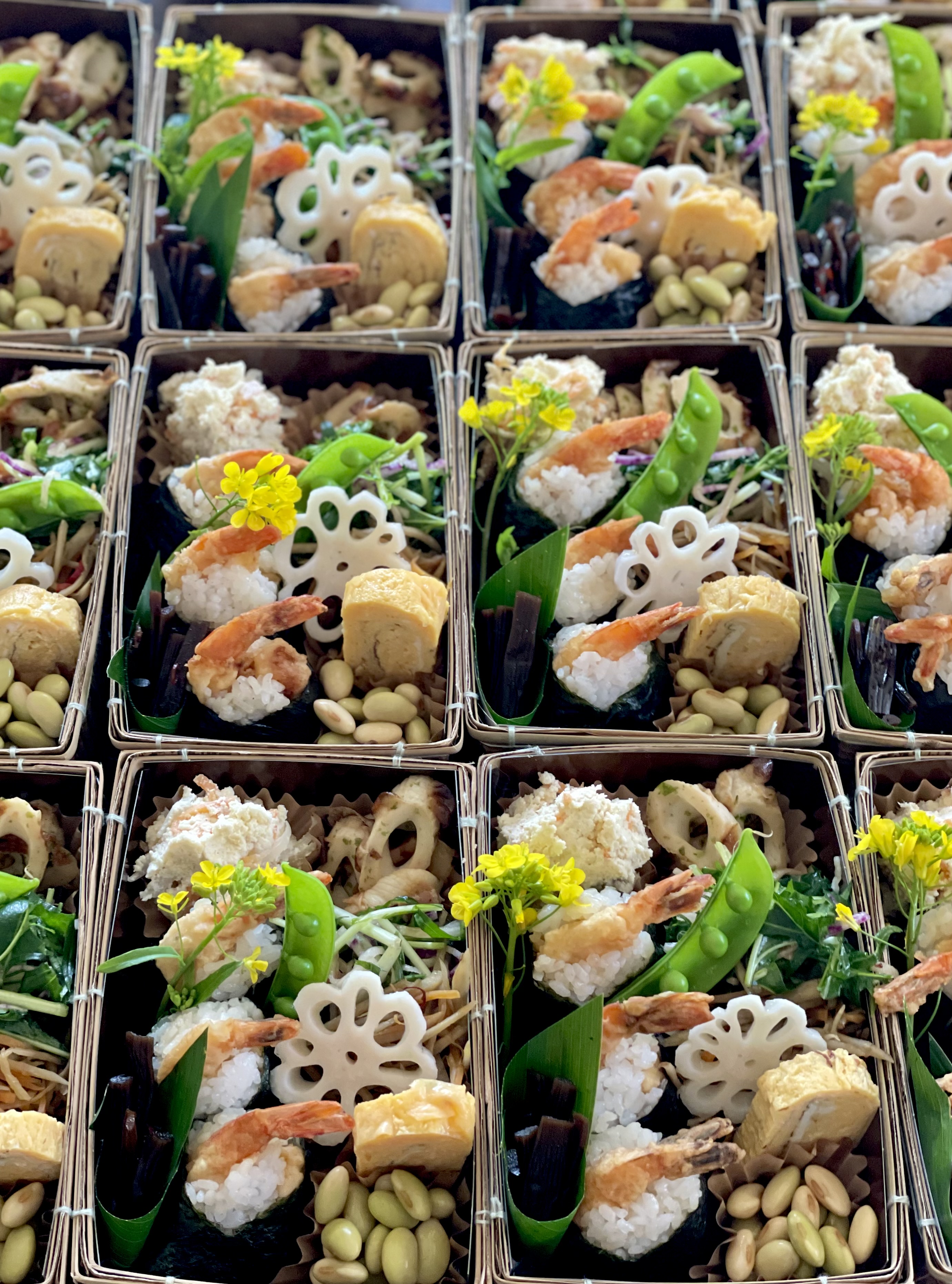昨日(3/30㊏)のバルヤンナイクのお弁当
