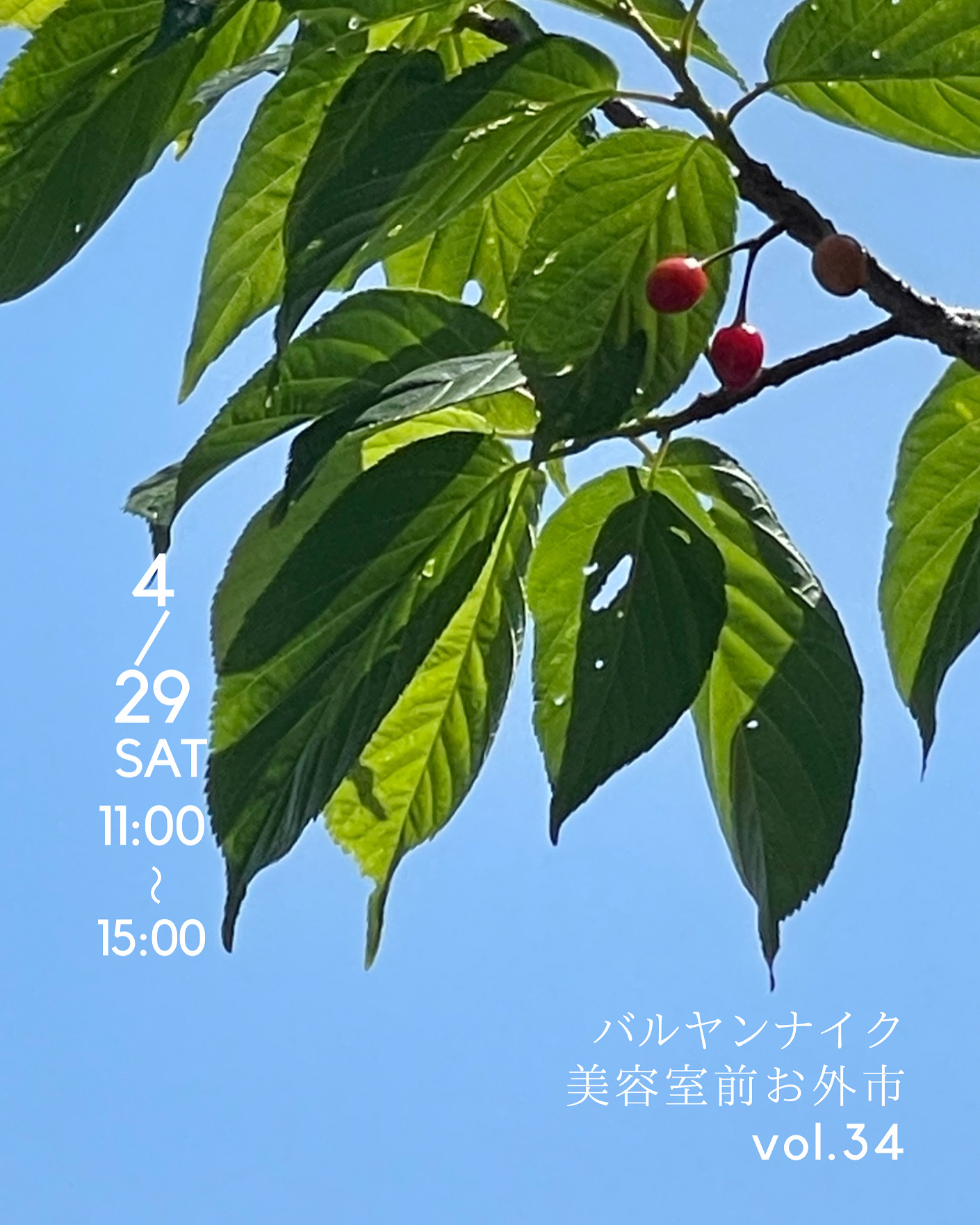 バルヤンナイク美容室前お外市vol.34