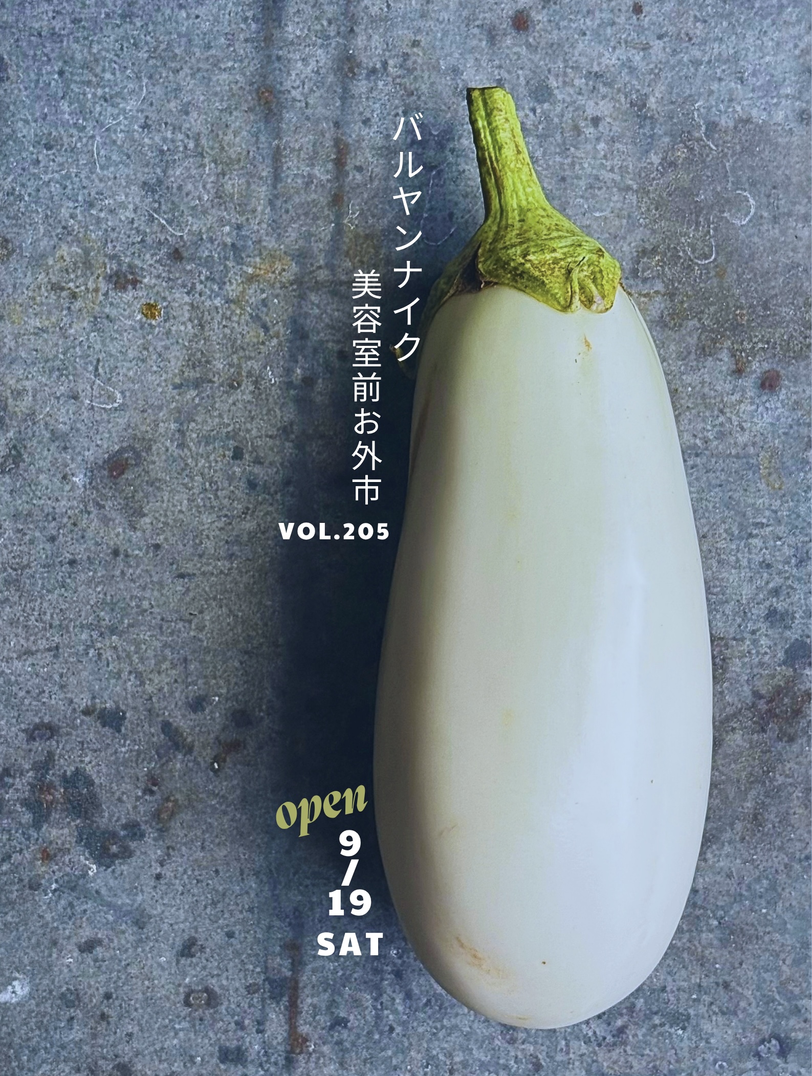 バルヤンナイク美容室前お外市vol.205のご案内