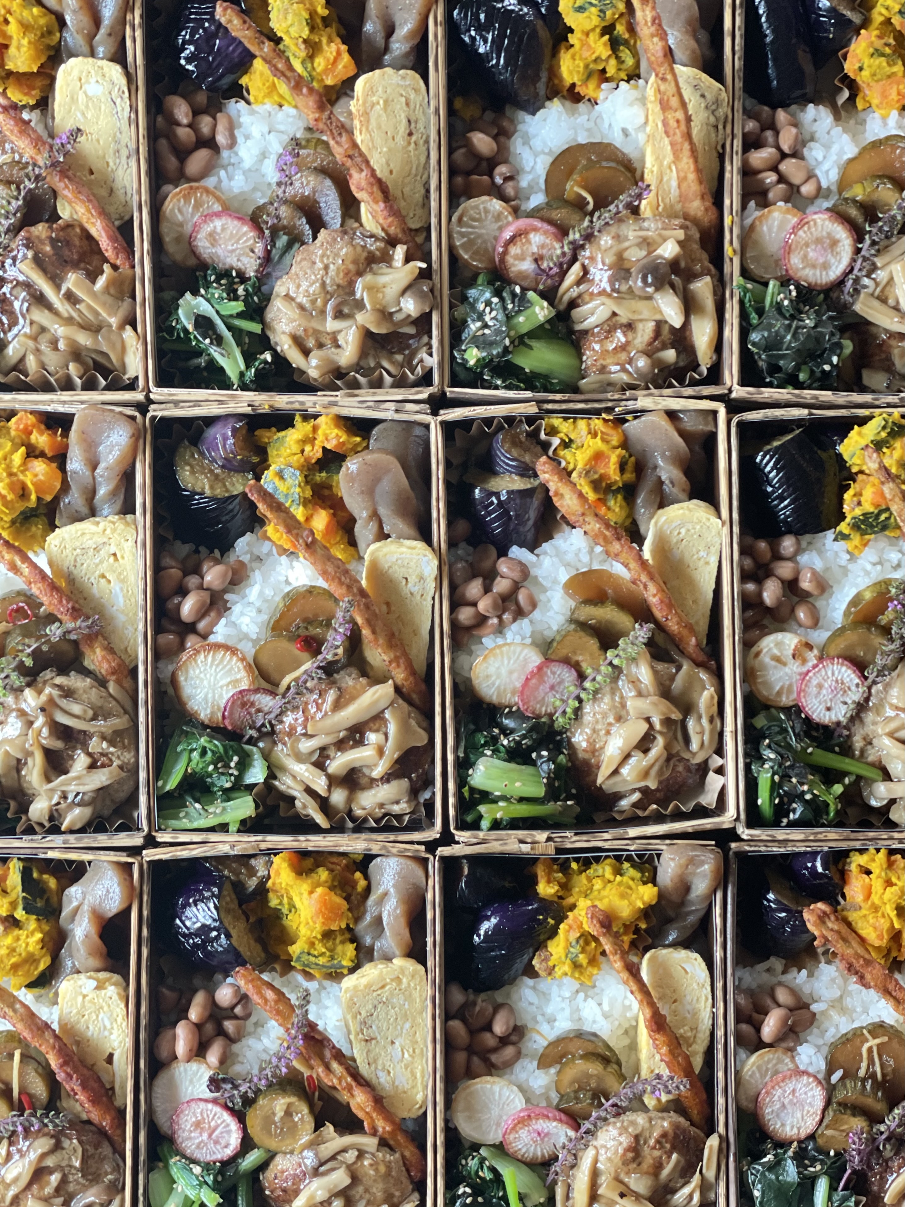 昨日(10/14㊏)のバルヤンナイクのお弁当
