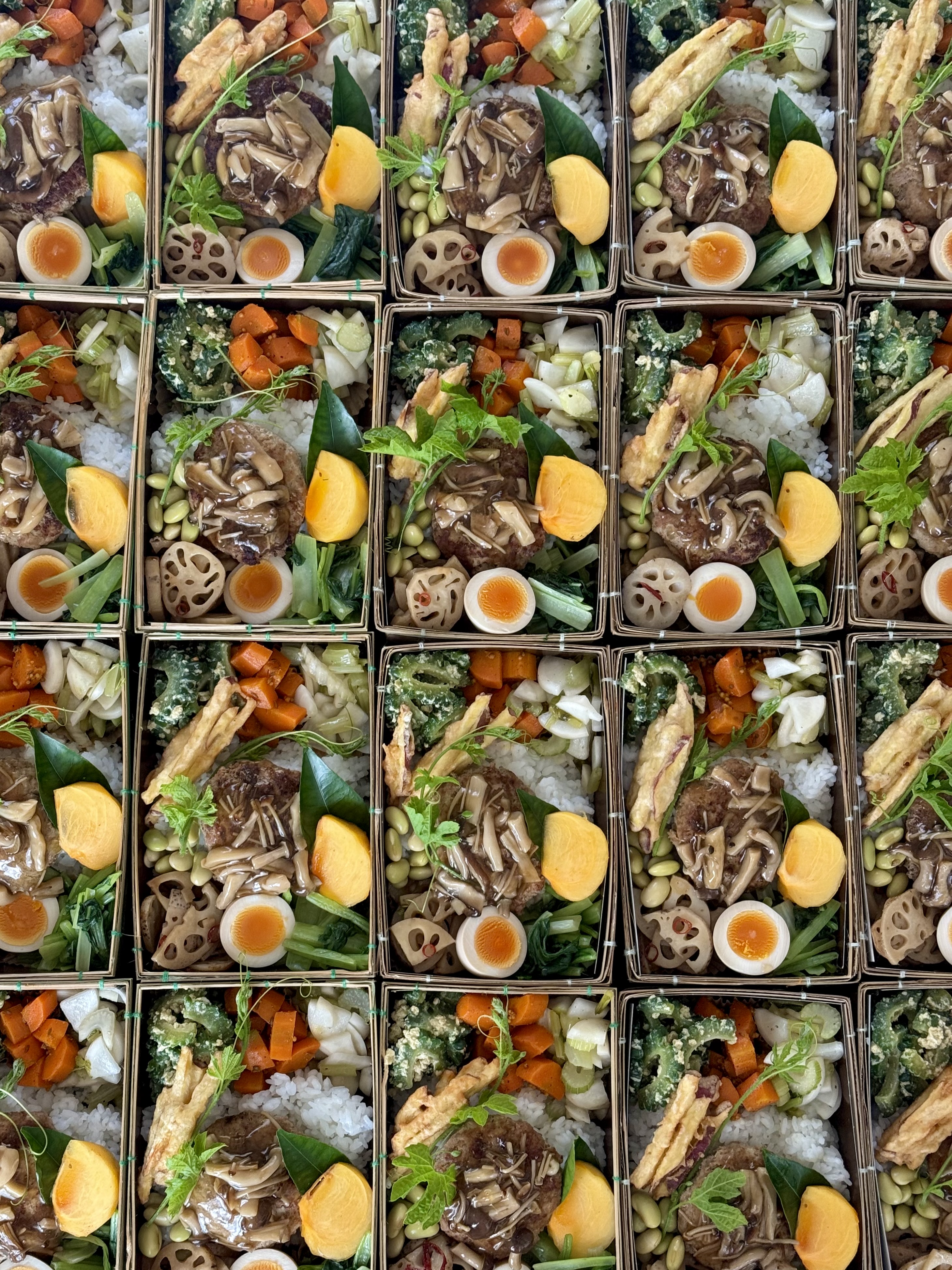 先週末(10/18㊏)バルヤンナイクのお弁当