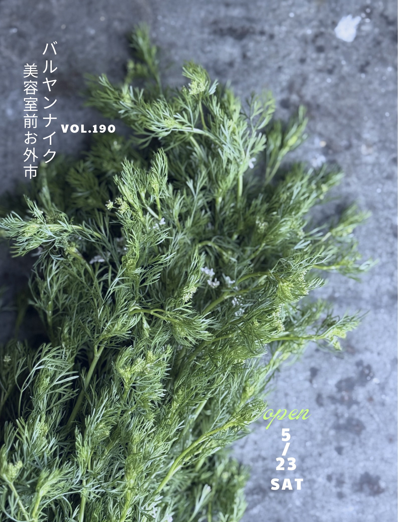 バルヤンナイク美容室前お外市vol.190のご案内