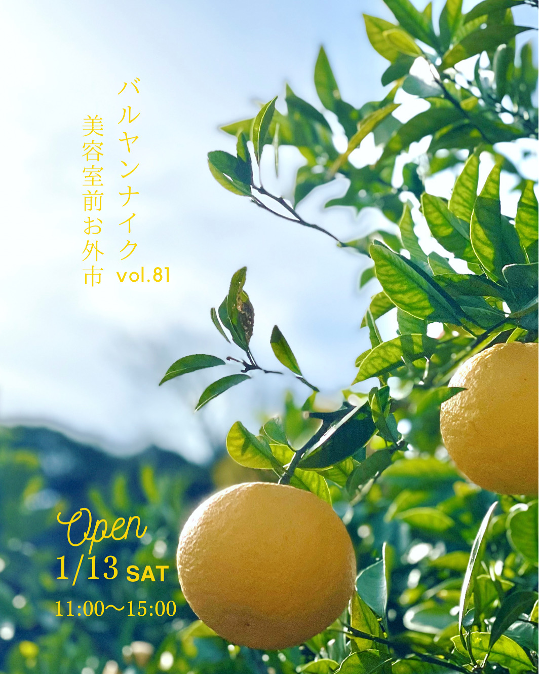 バルヤンナイク美容室前お外市vol.81の日程とメニューです。