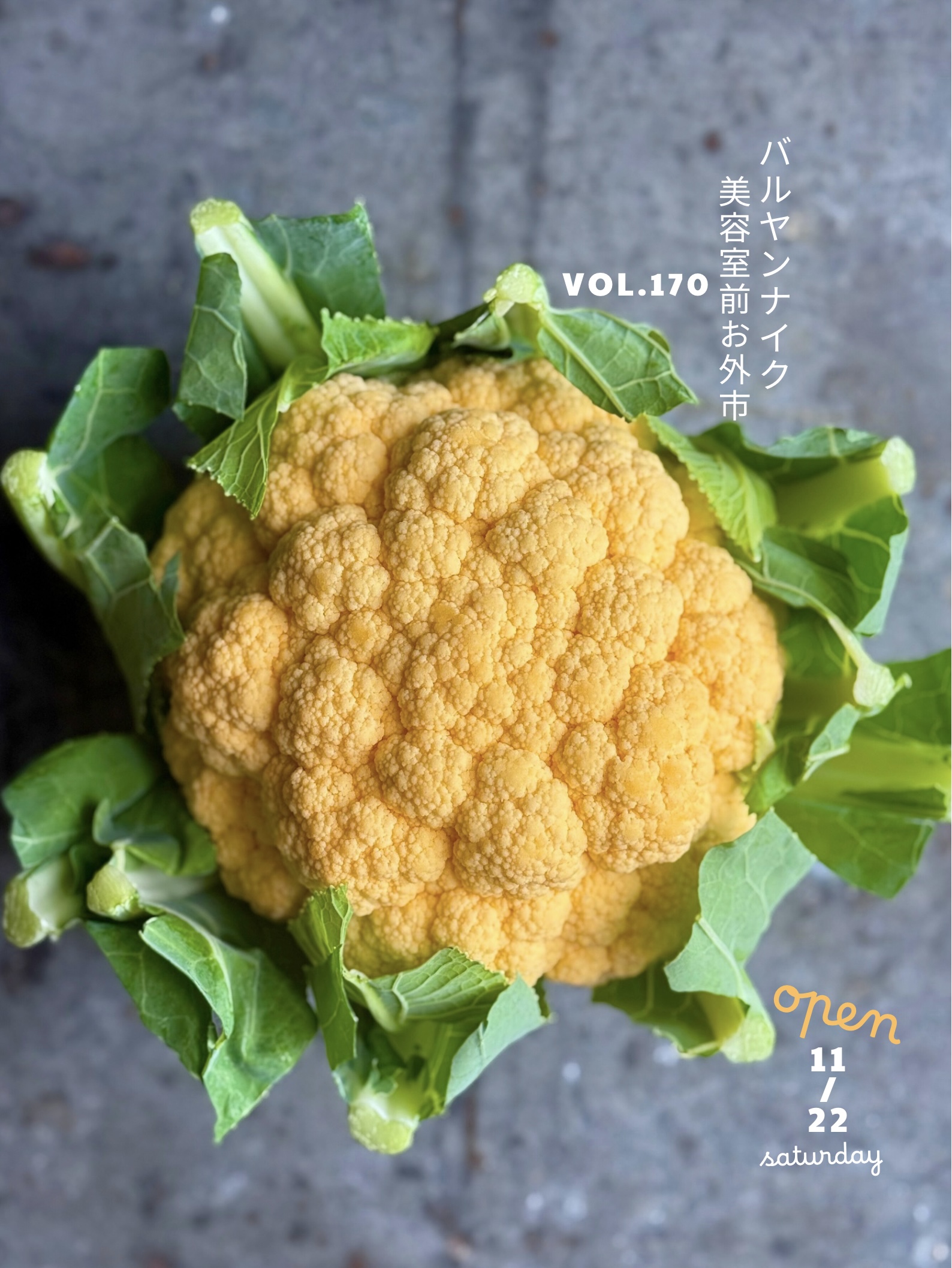 バルヤンナイク美容室前お外市vol.170のご案内