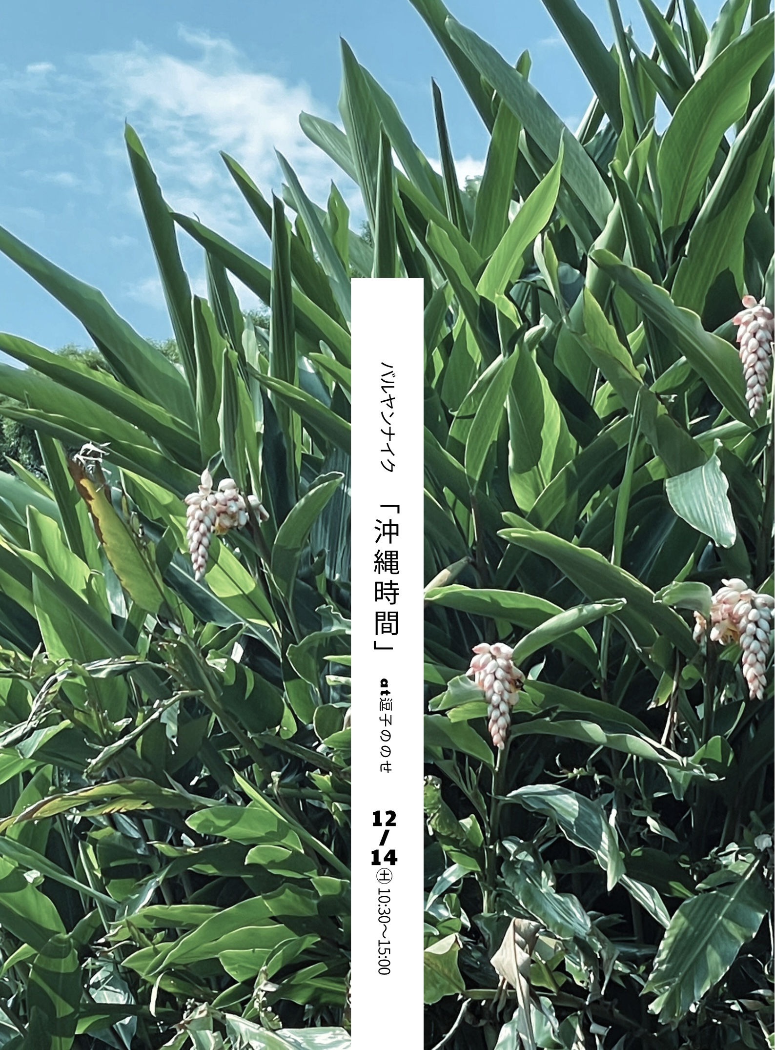 バルヤンナイクのイベント「沖縄時間」のご案内