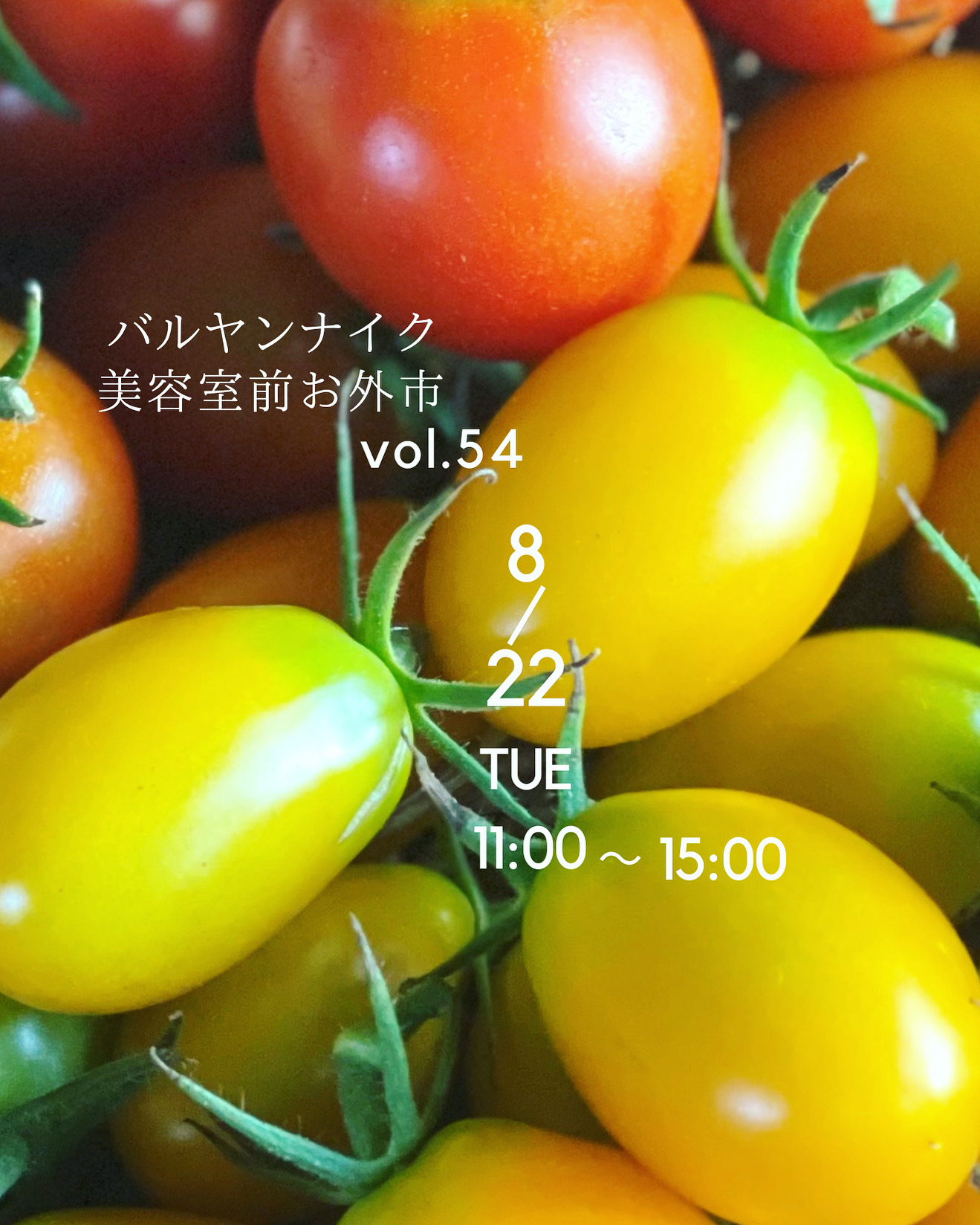 次回のバルヤンナイク美容室前お外市は8/22㊋です。