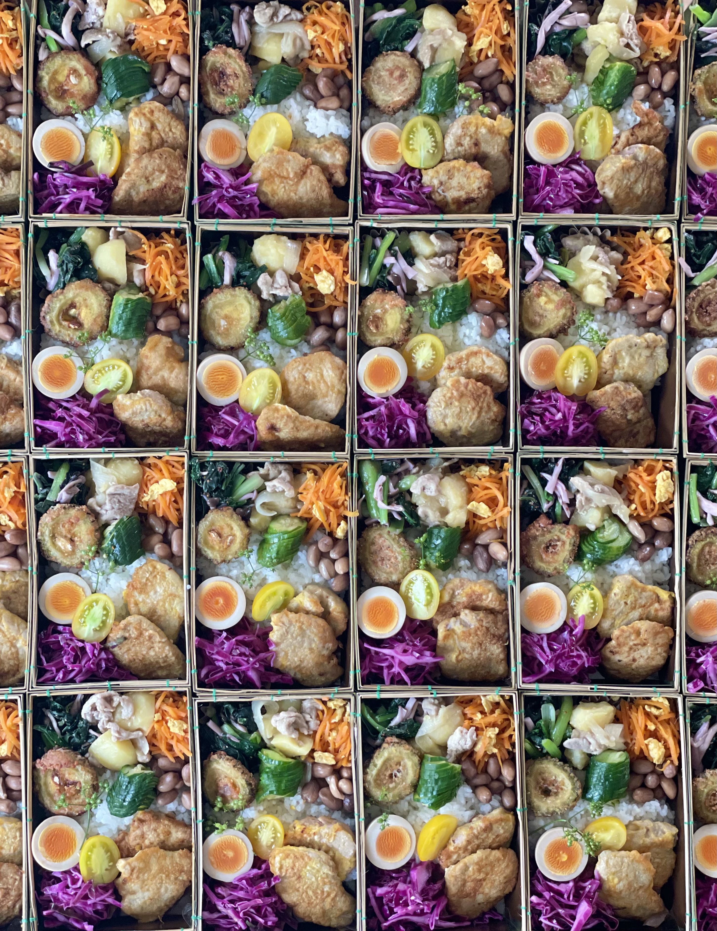 ご注文頂いたバルヤンナイクのお弁当