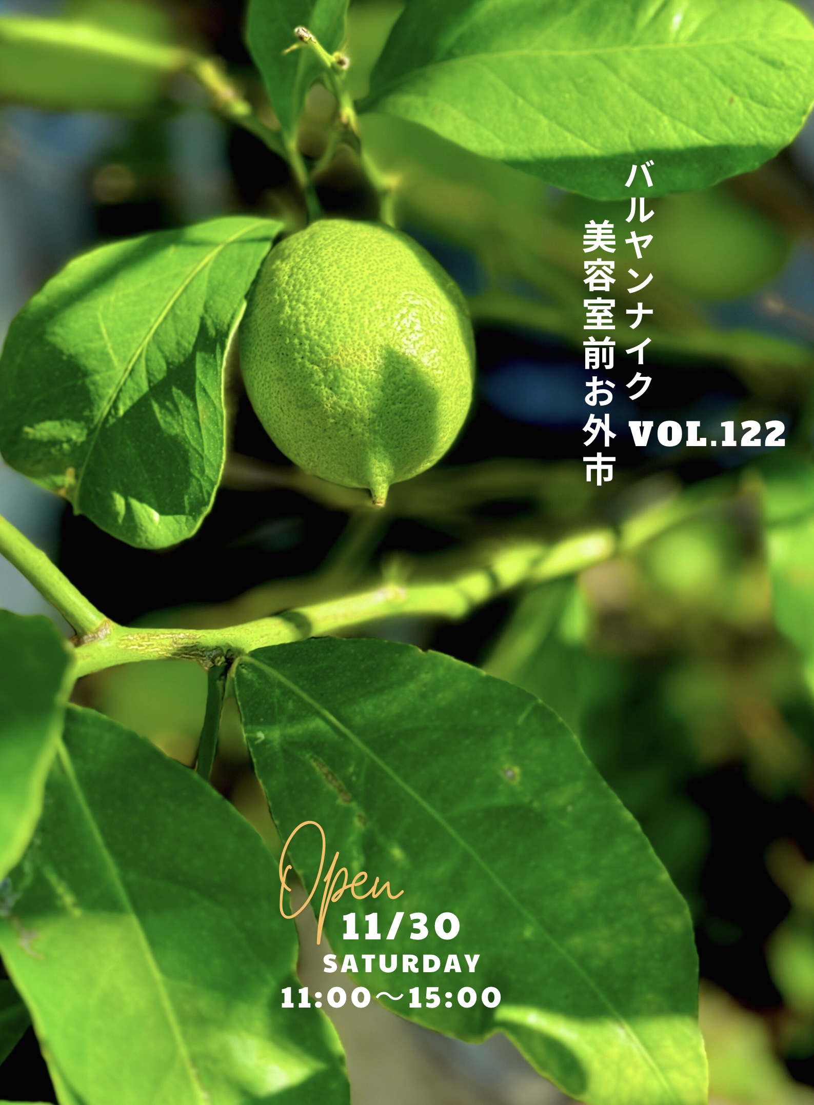 バルヤンナイク美容室前お外市vol.122のお知らせ