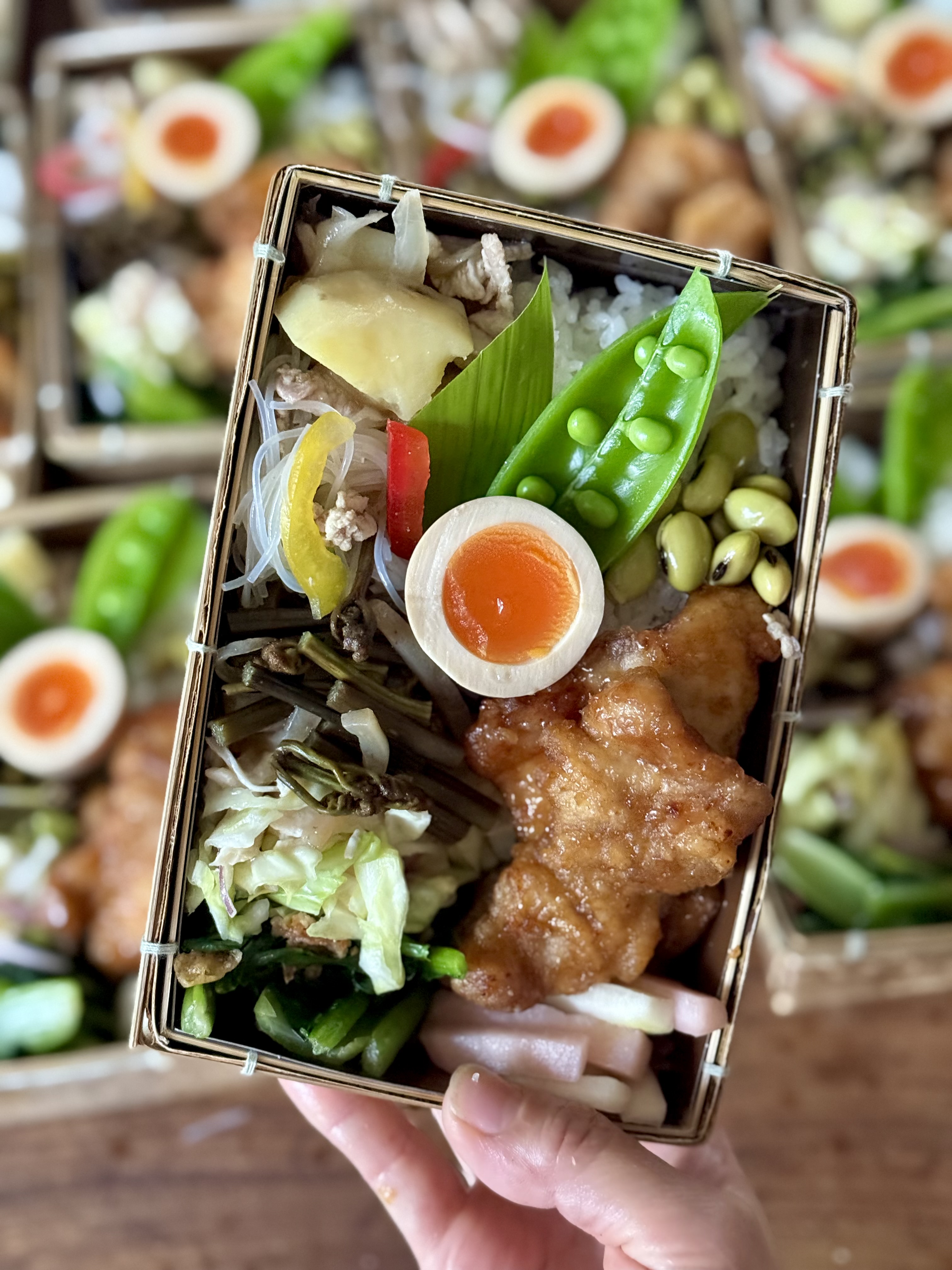 先週末(5/25㊐)のバルヤンナイクのお弁当