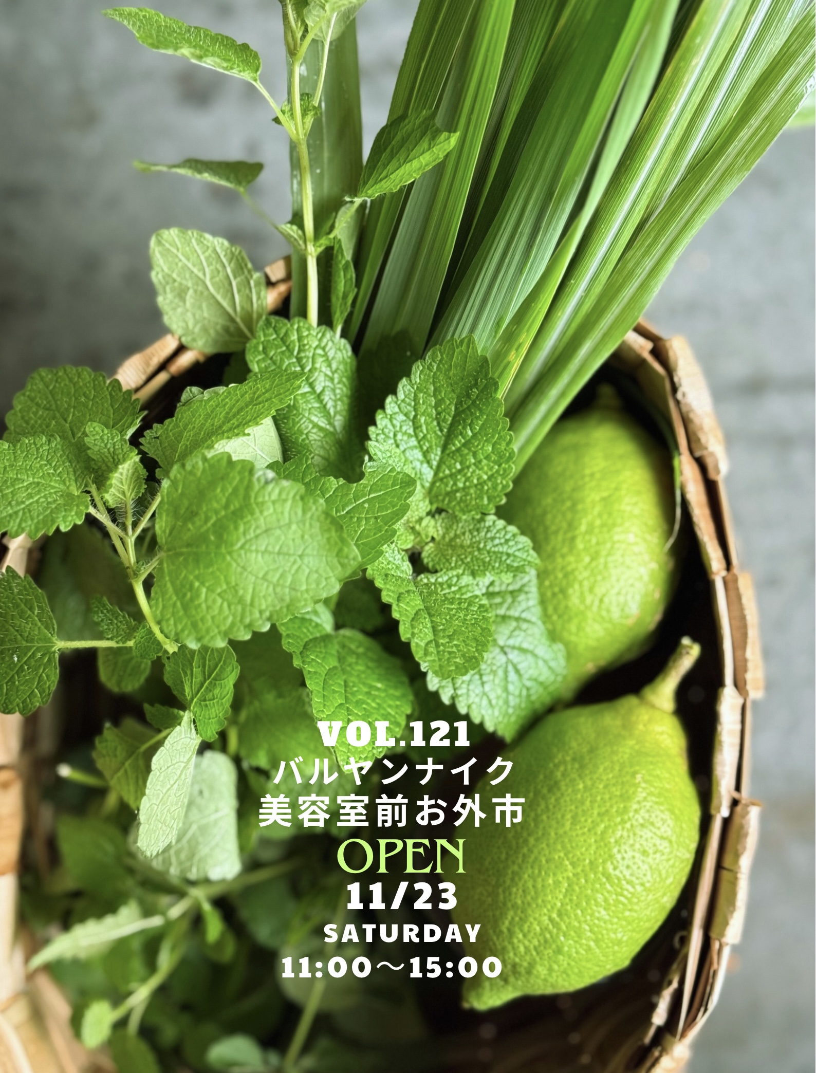 バルヤンナイク美容室前お外市vol.121の日程とメニューです。