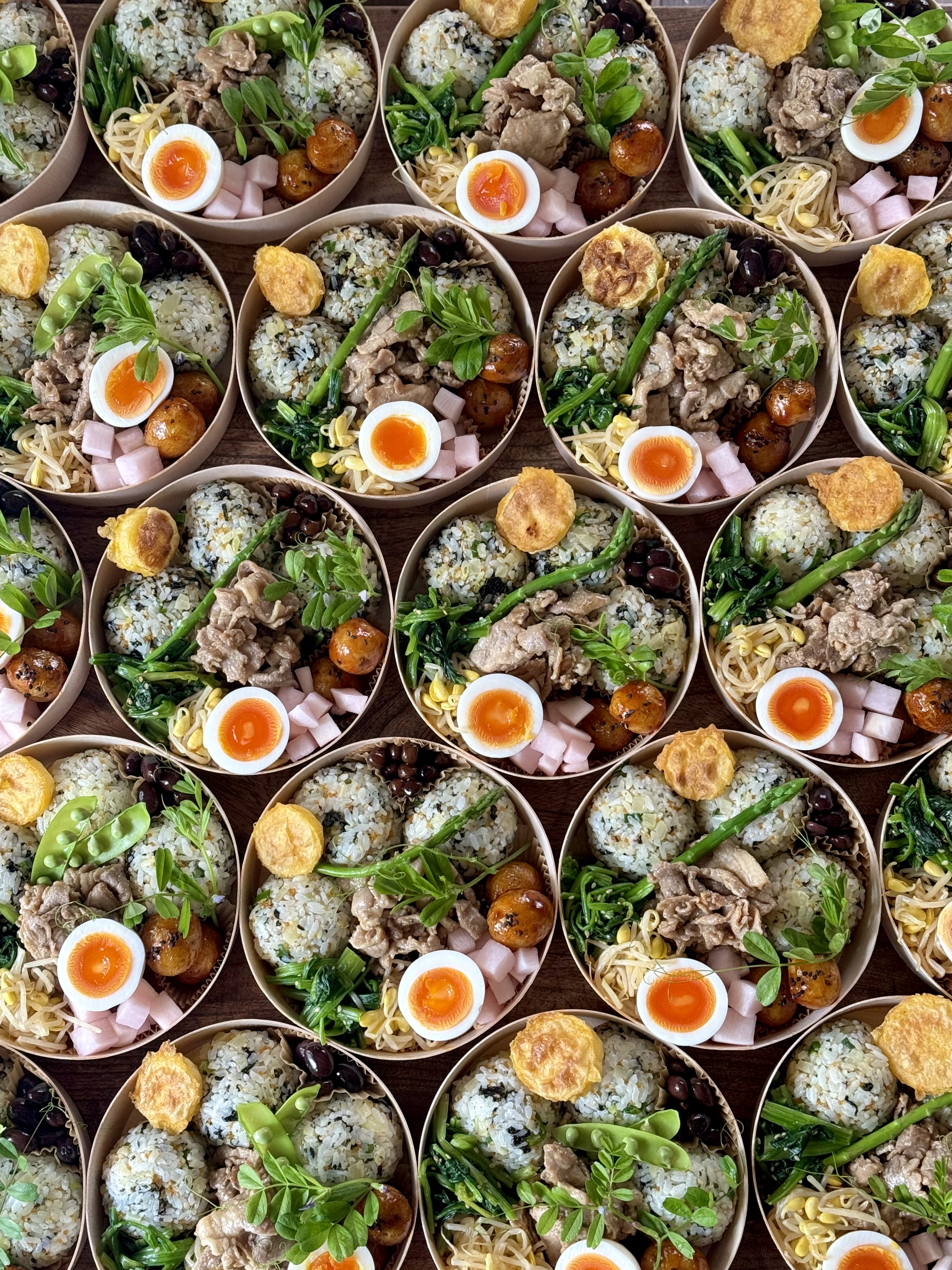 先週末(4/26㊏)のバルヤンナイクのお弁当