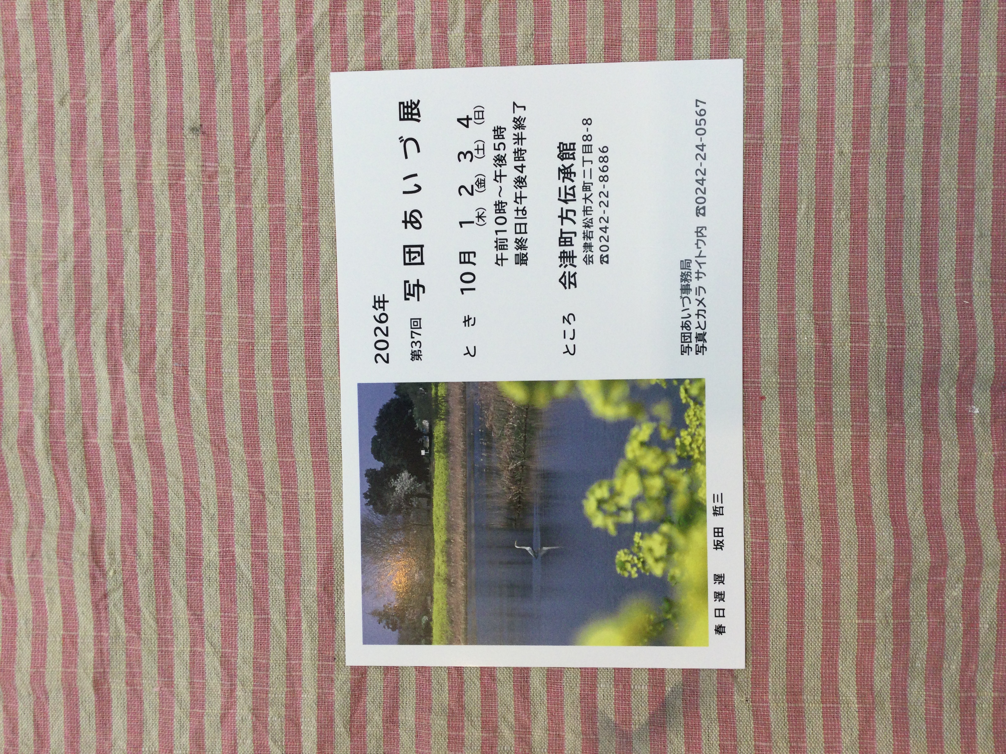 2階ギャラリー展示会開催中です🎶