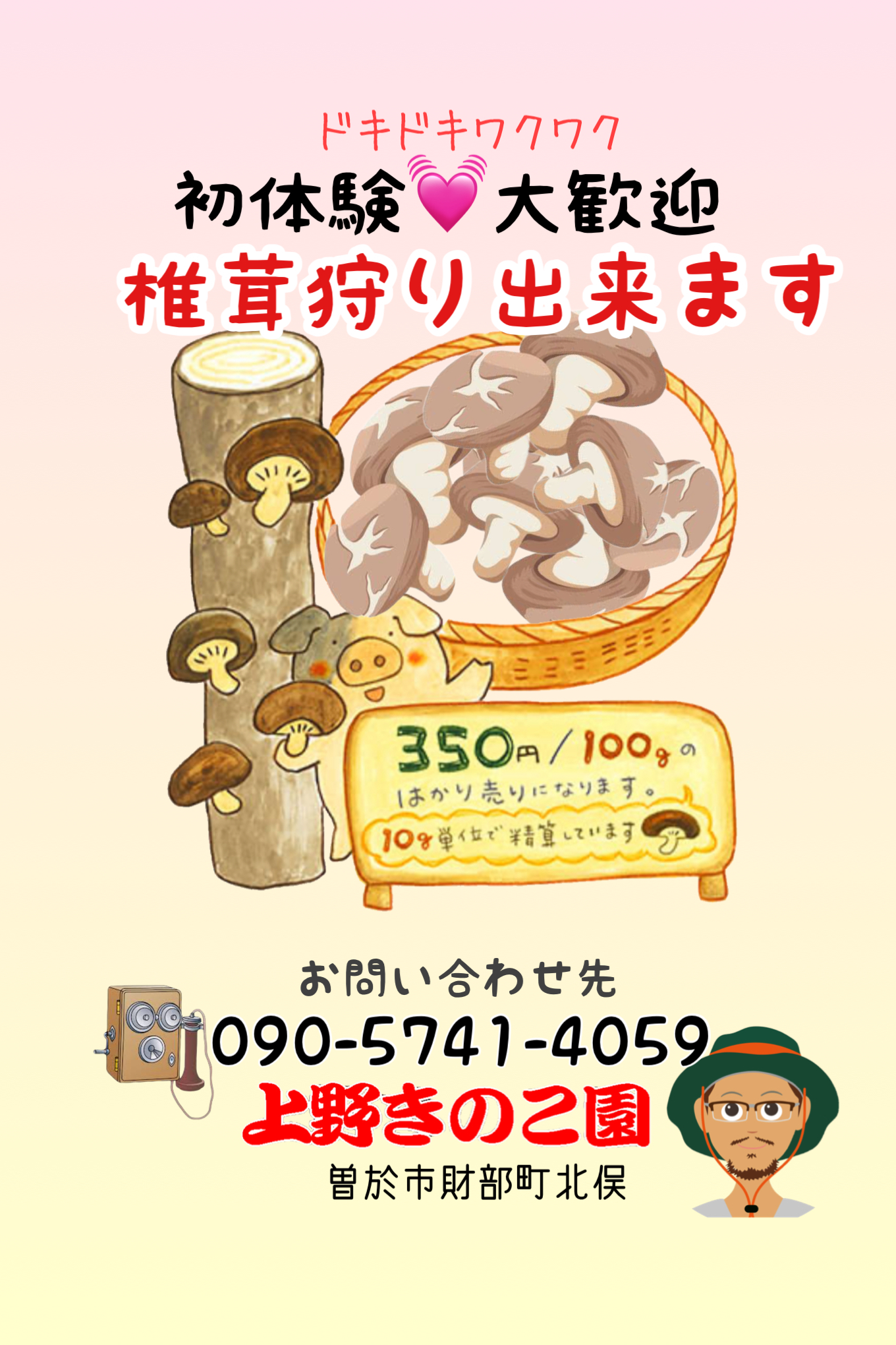 秋から冬まで椎茸狩り出来ます