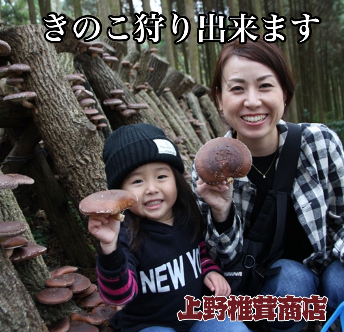 暑中見舞い申し上げます