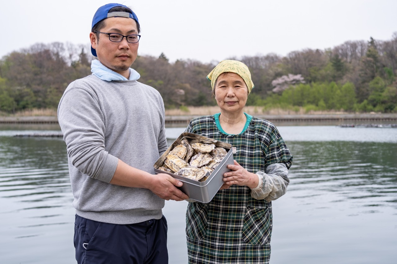 【佐渡島品質】佐渡島プレミアムオイスター＜太平丸＞「加茂湖の一年牡蠣」