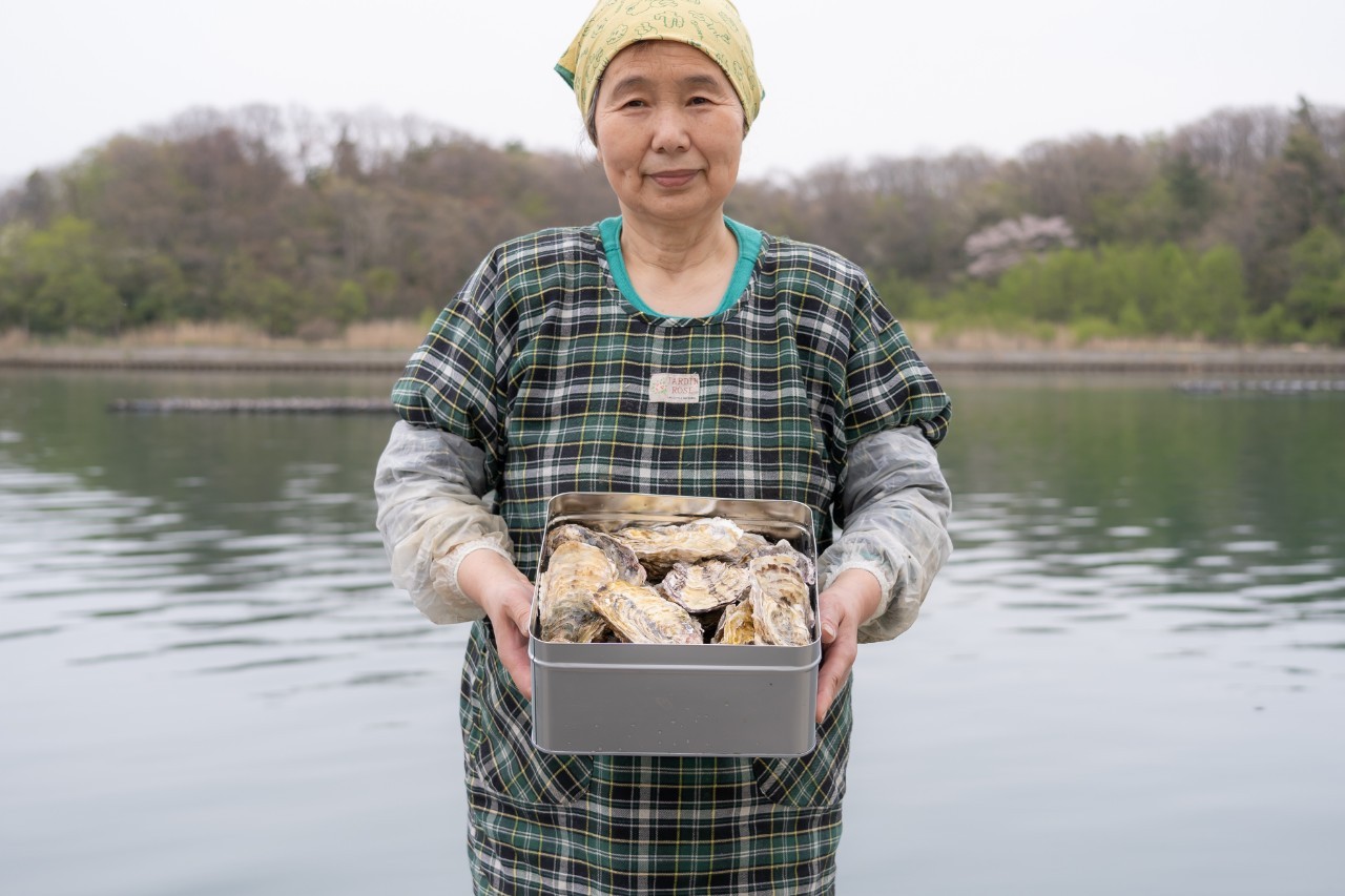 【佐渡島品質】佐渡・加茂湖「幻のichinenkaki（一年牡蠣）」食べれば誰でも納得の美味しさ！