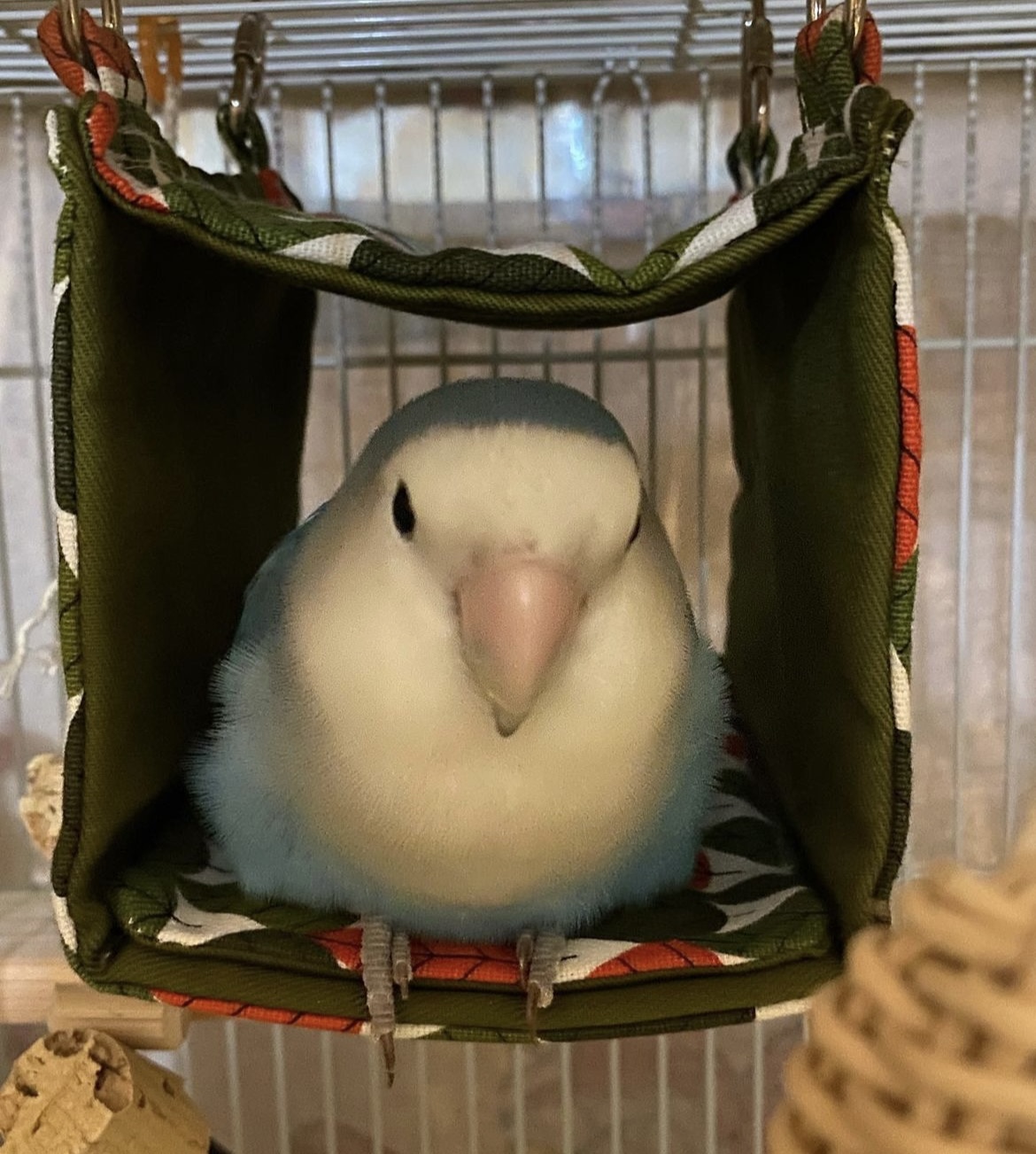 四角いテント使っていただきました❤️