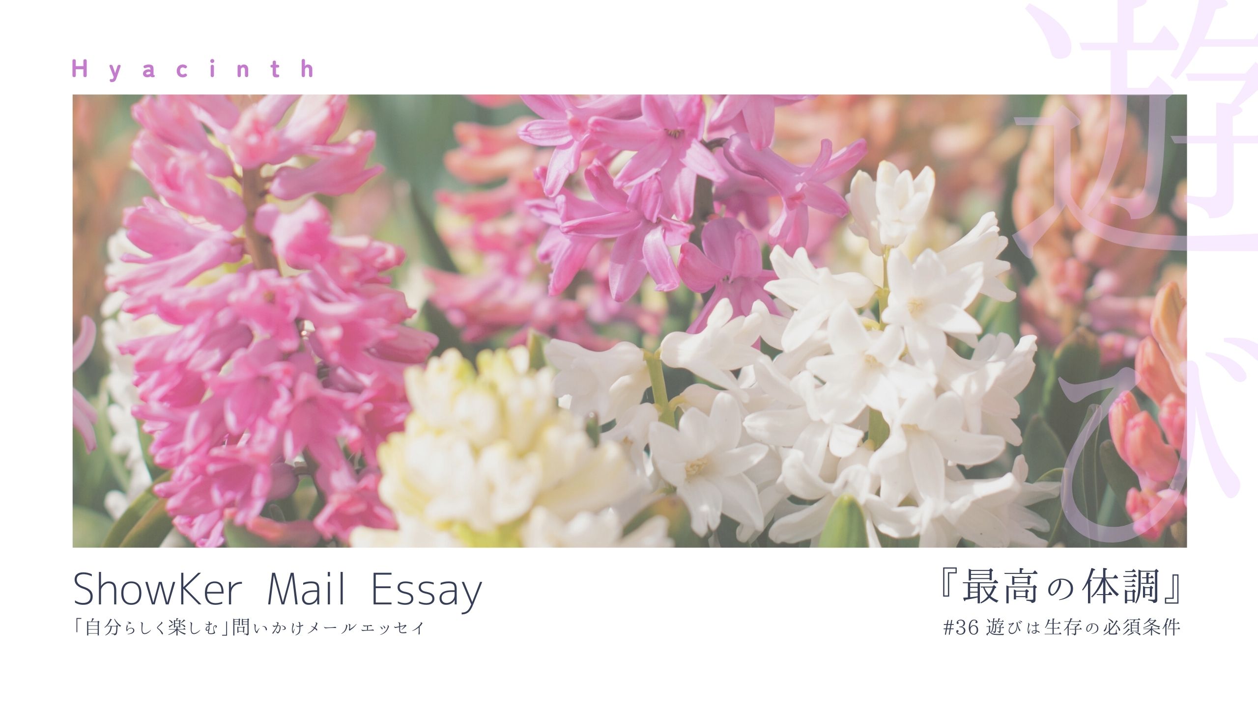 遊びは生存の必須条件【Mail Essay#36】