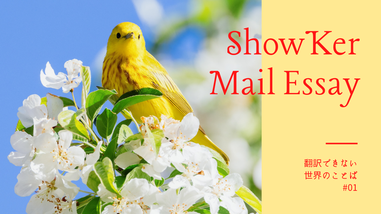 旅に出るドキドキを表す言葉【Mail Essay#01】
