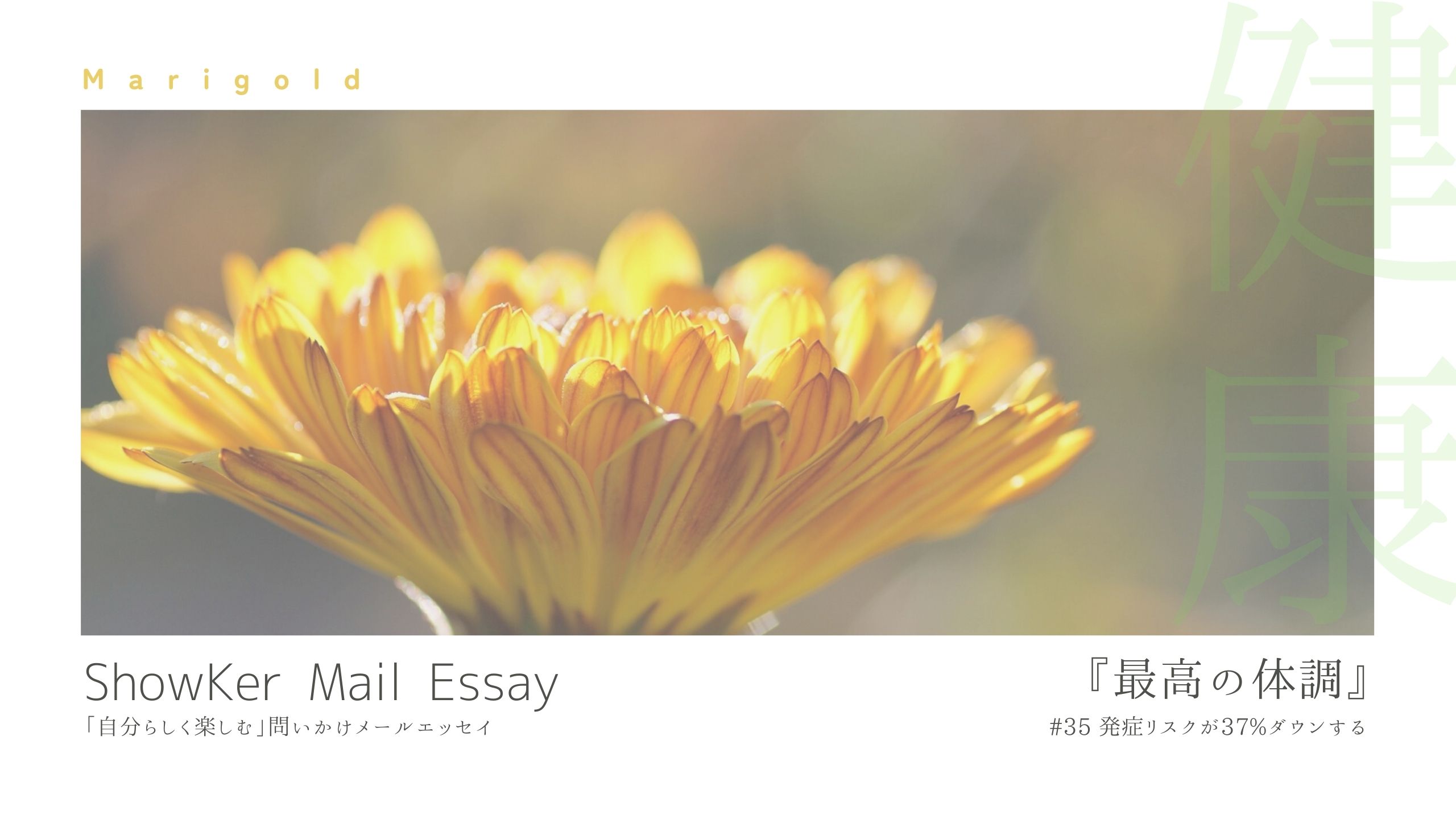 発症リスクが37%ダウンする【Mail Essay#35】