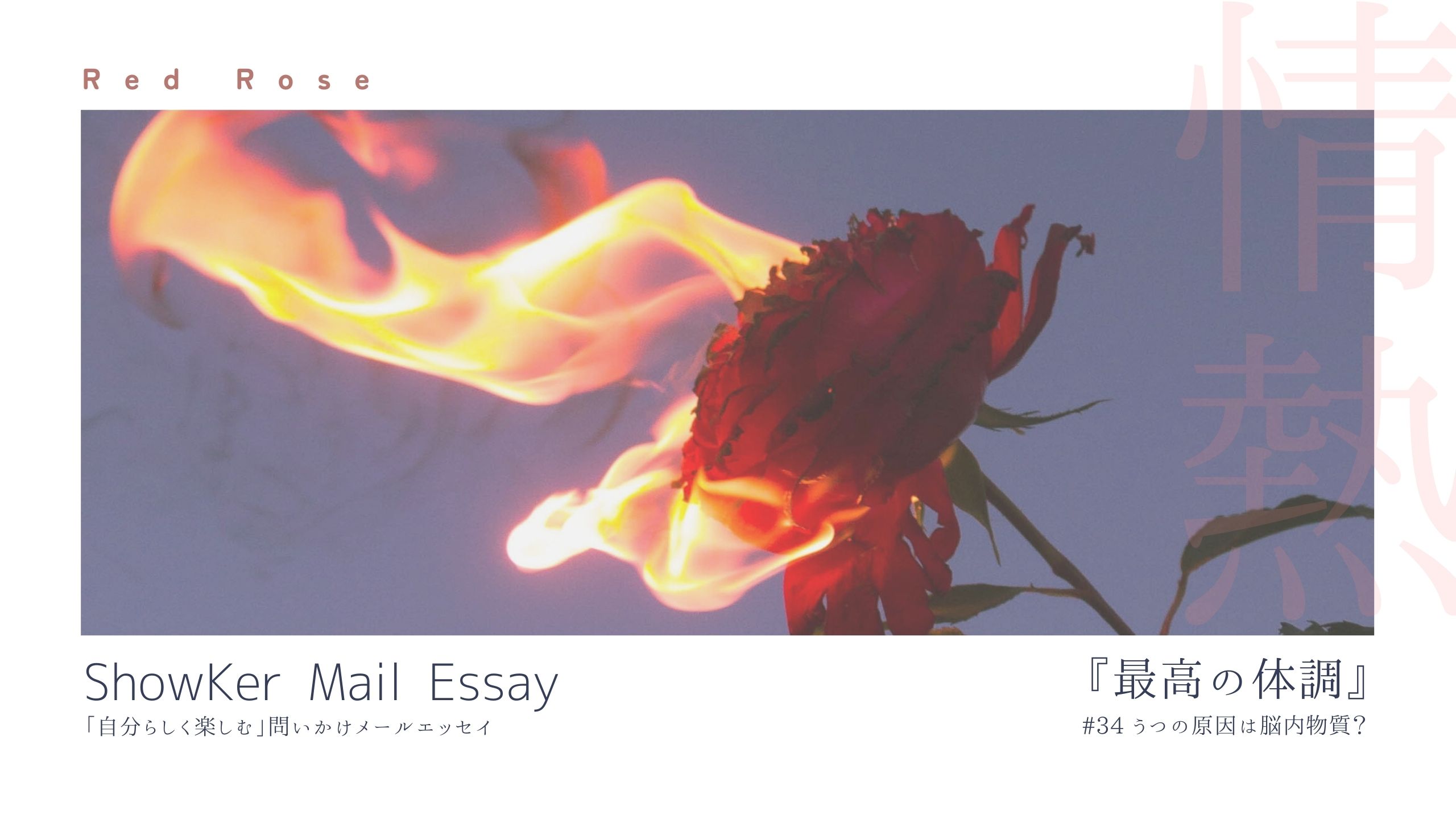 うつの原因は脳内物質？【Mail Essay#34】