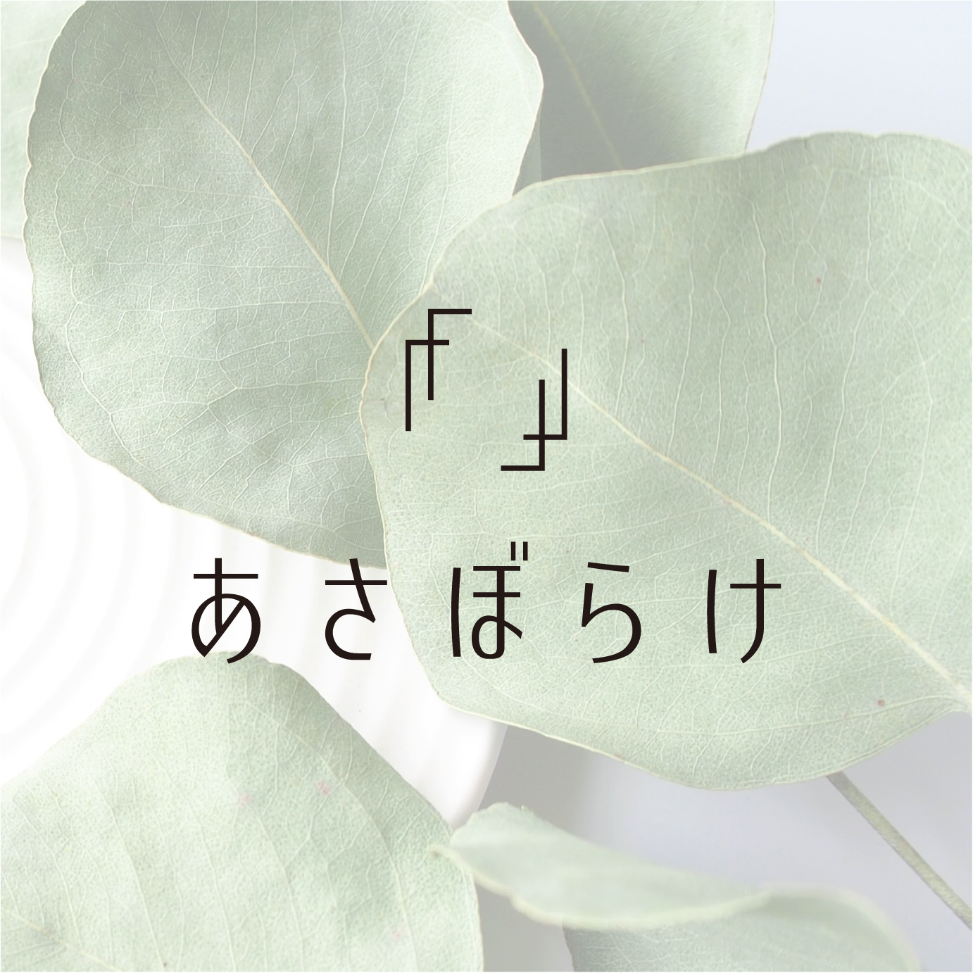 オンラインショップオープンしました！