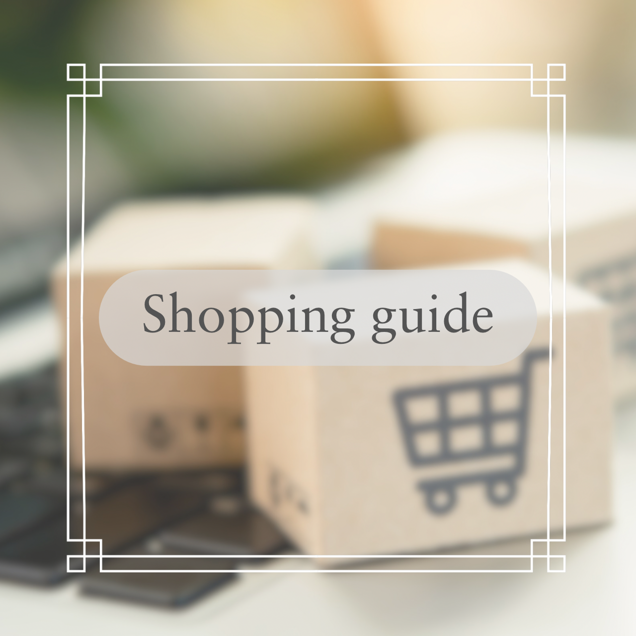 購入に関するご注意