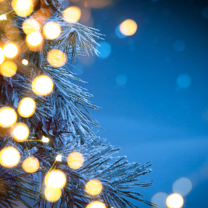 クリスマスの準備はありますか？
