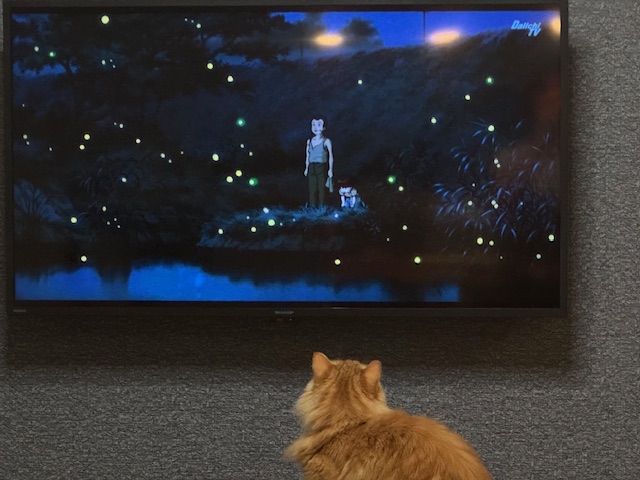 今年は戦後80年という事で、戦争というものを考えさせられるものがTVでも流されてましたね