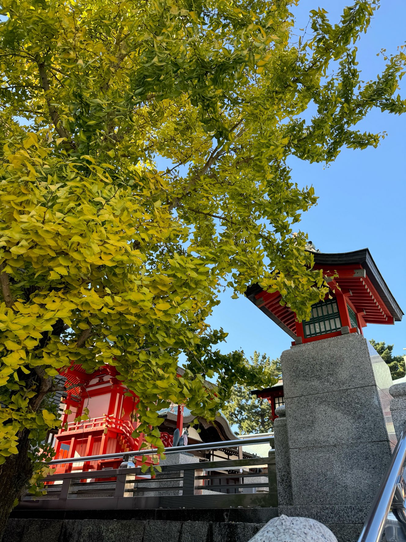 今日は新嘗祭