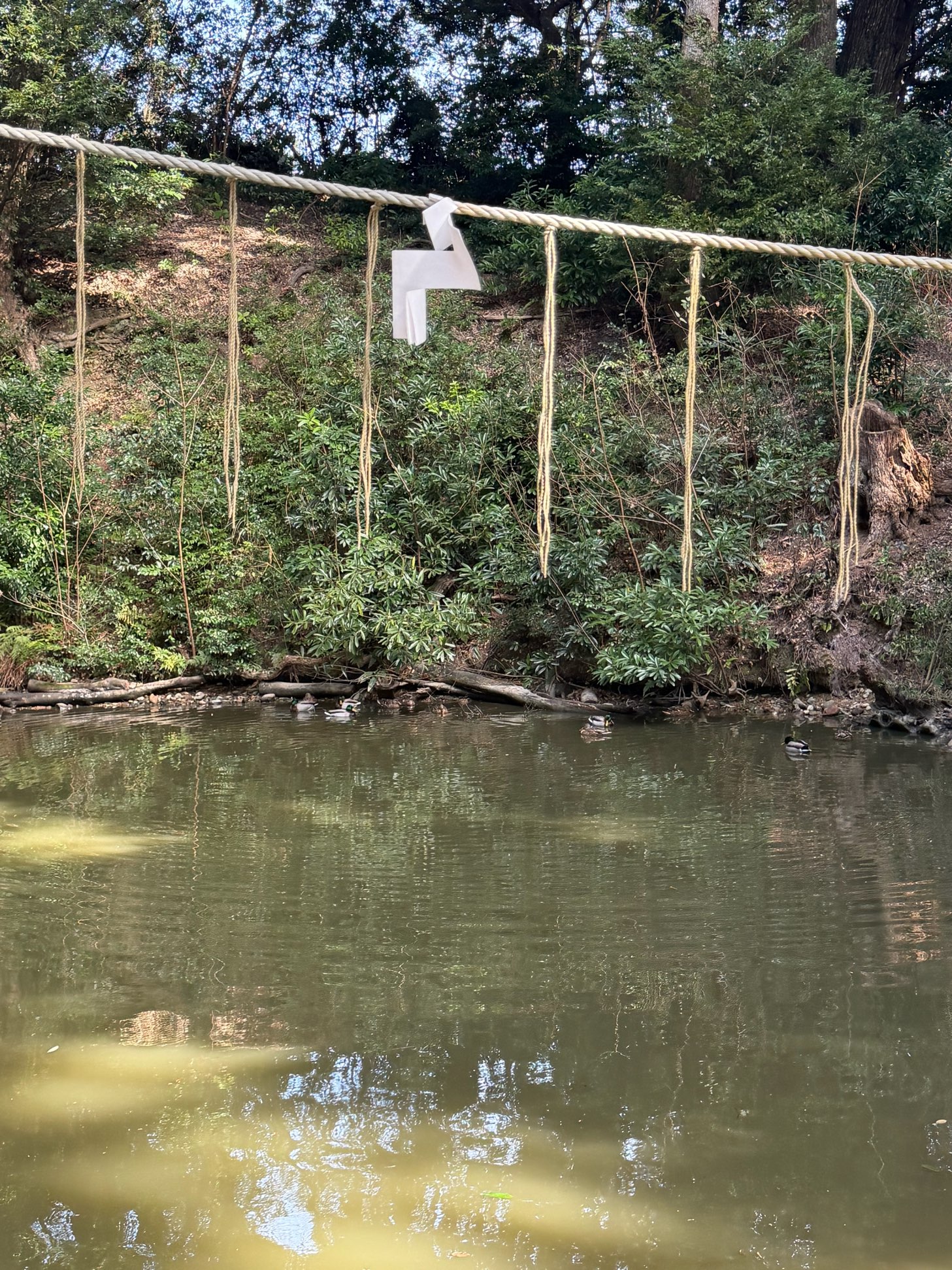昨日　そこのみたち神社に参拝してきました