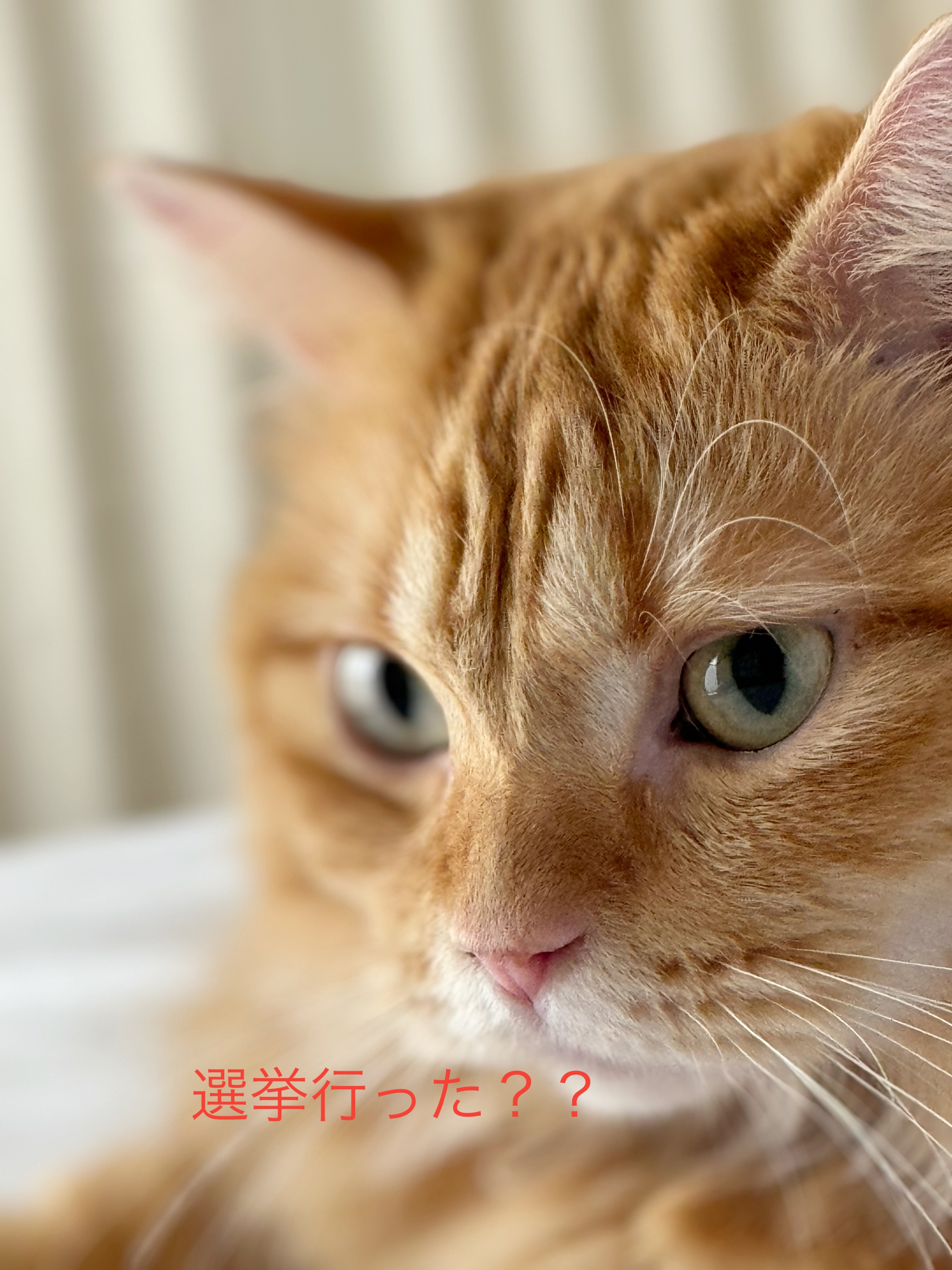今朝  子供に…