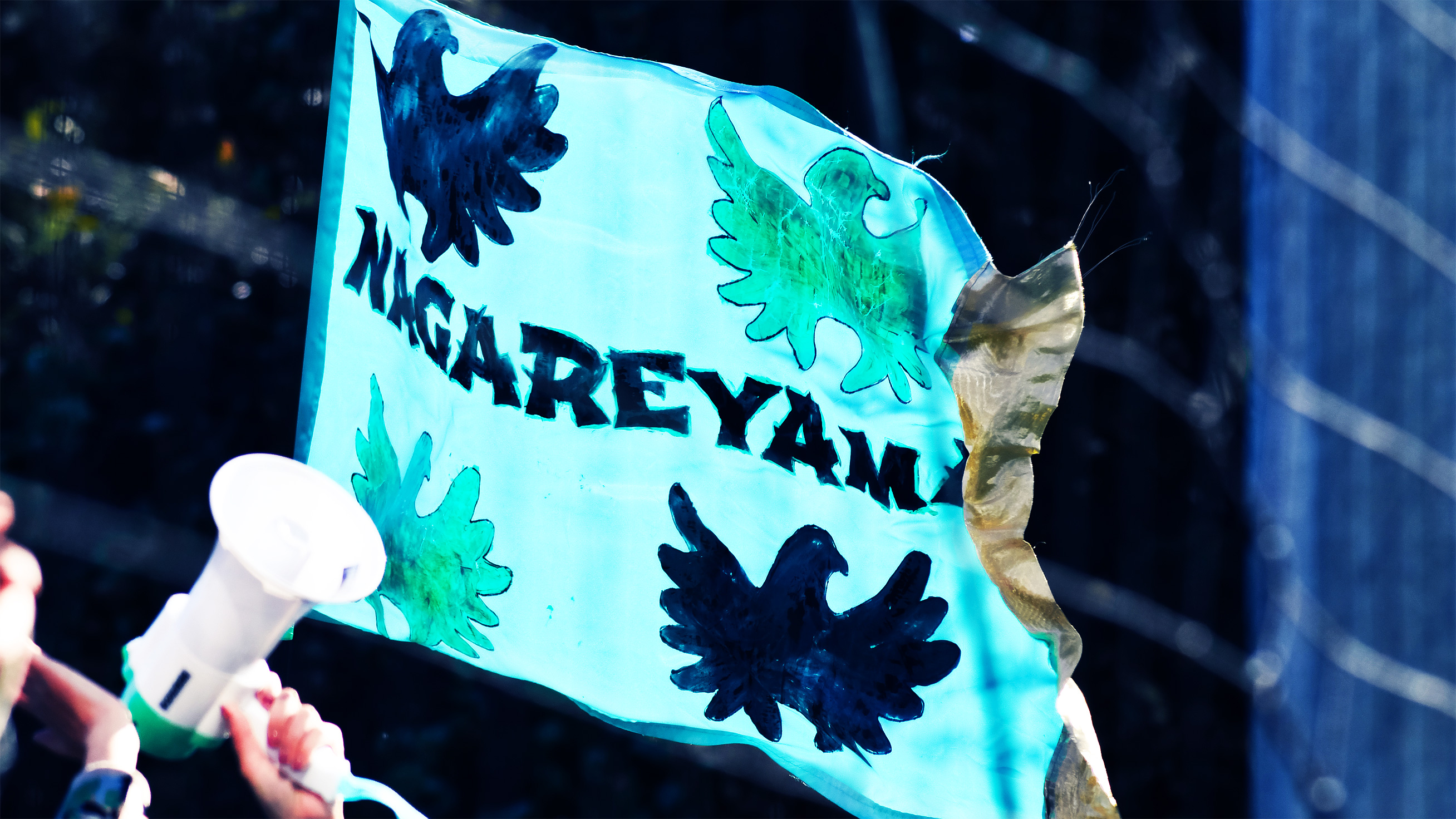 NAGAREYAMA F.C.が目指す未来
