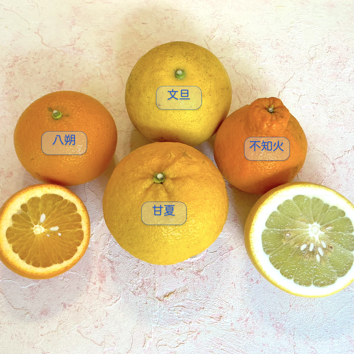 ふぁおの柑橘セット（4種詰）販売中