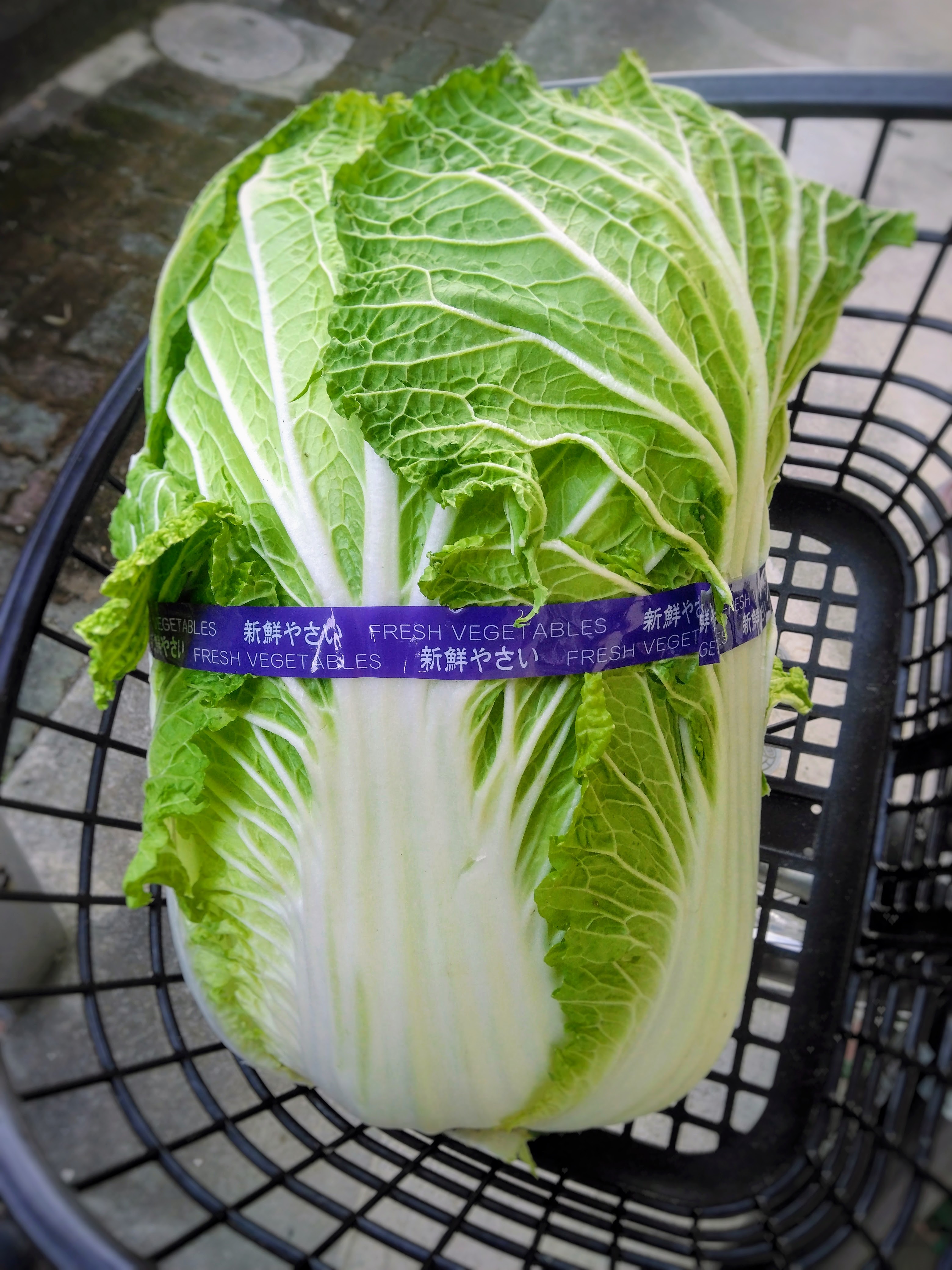 ２０２６．１．１６   へちま便り 【私なりの減プラ法】