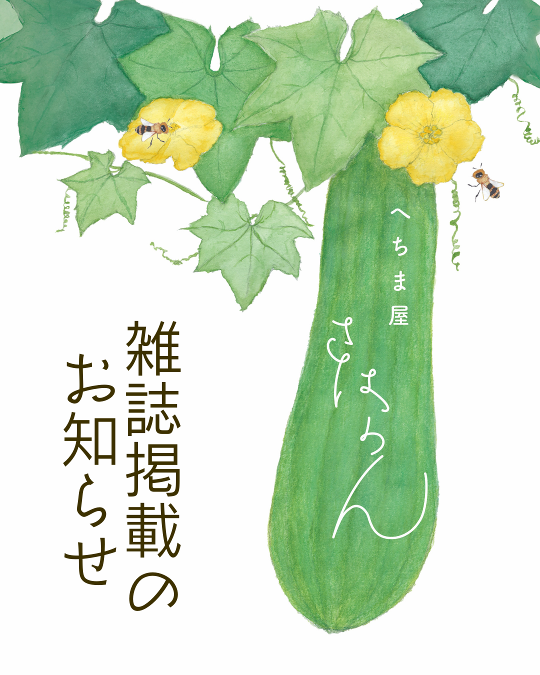 ２０２６．２．２８  へちま便り 【雑誌掲載のお知らせ】