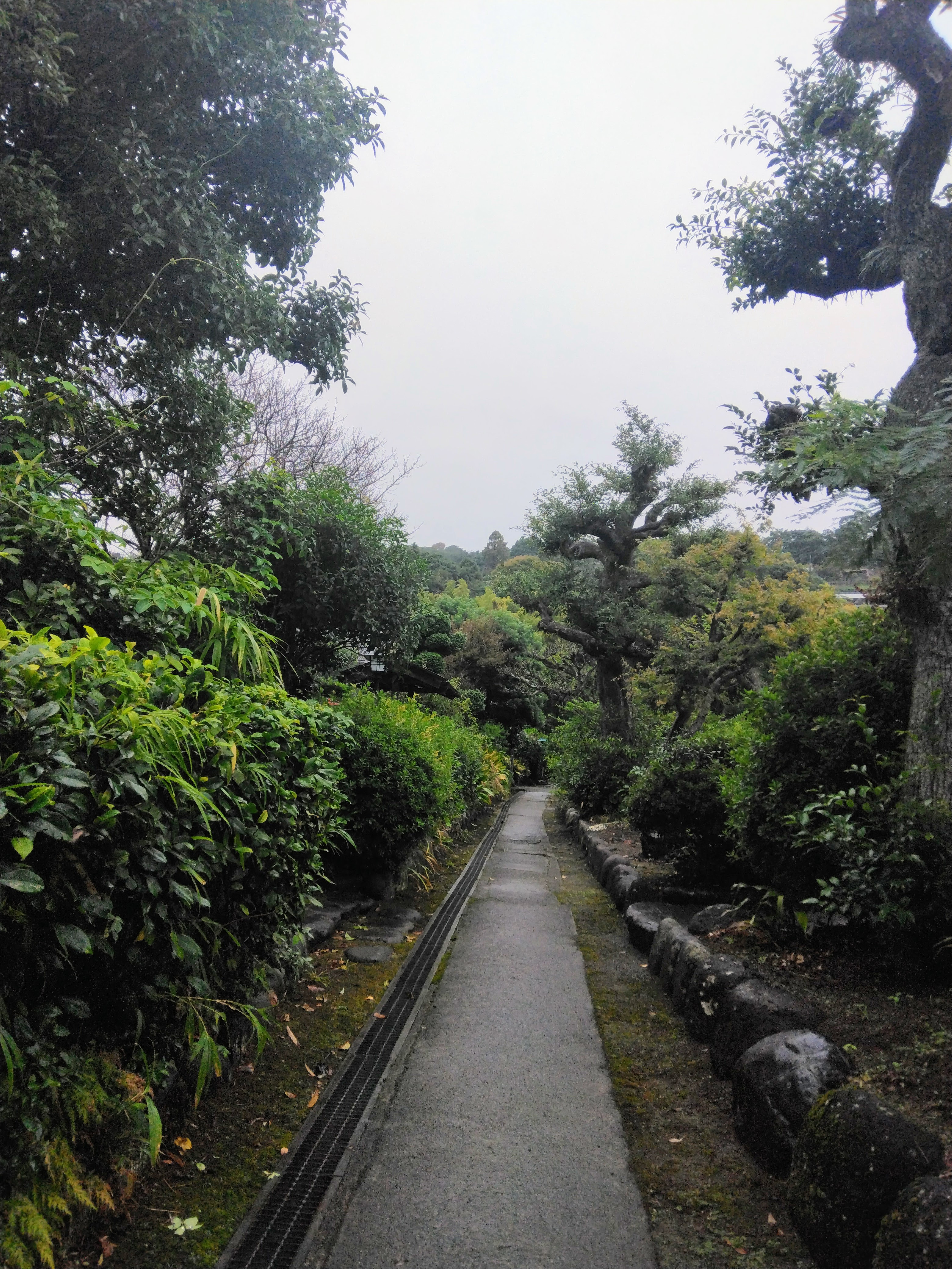 2025.10.25 へちま便り 【イベント出店の報告~板橋マルシェ~】