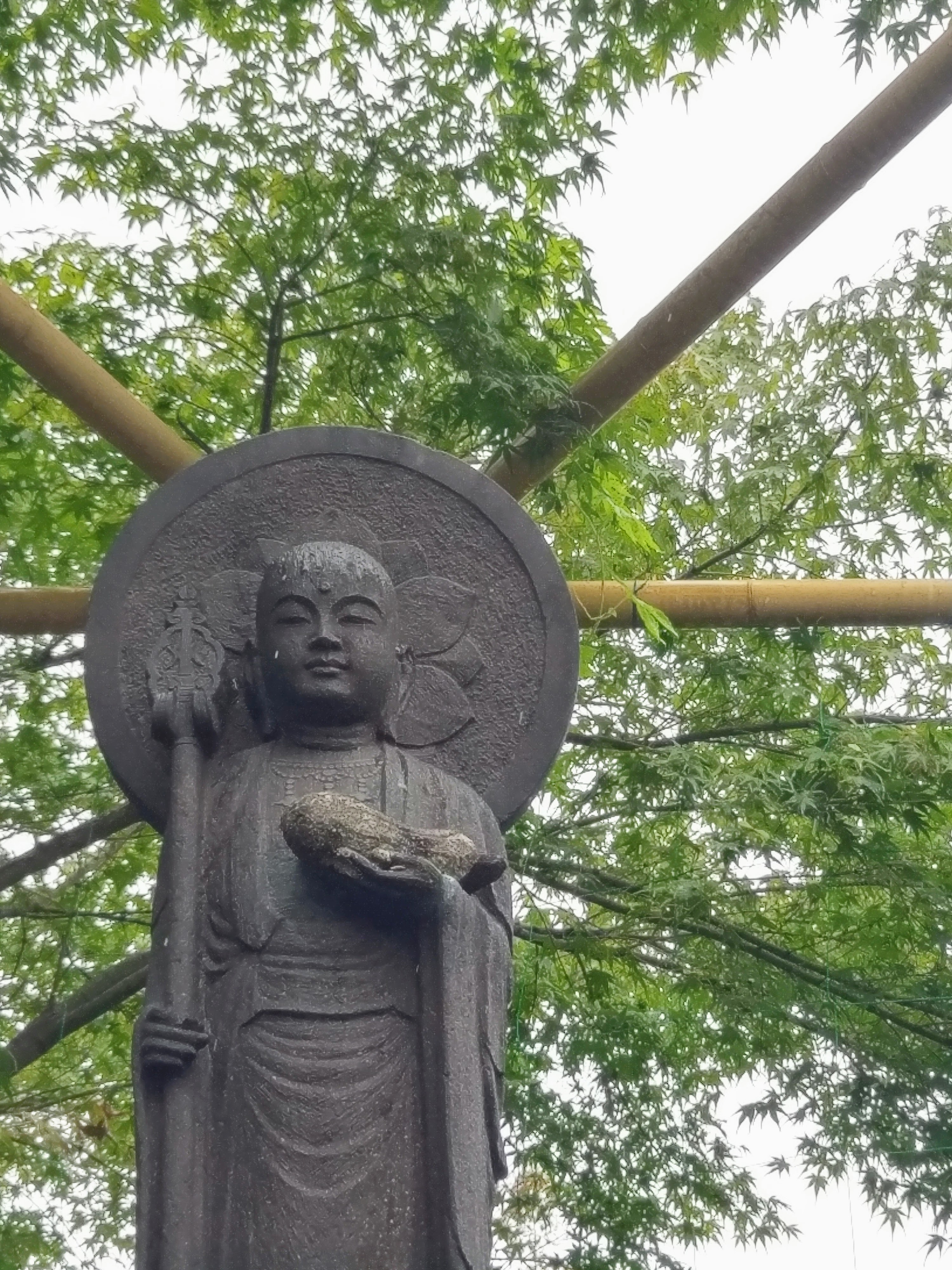 ２０２２．９．１９　へちまの神様との出逢い