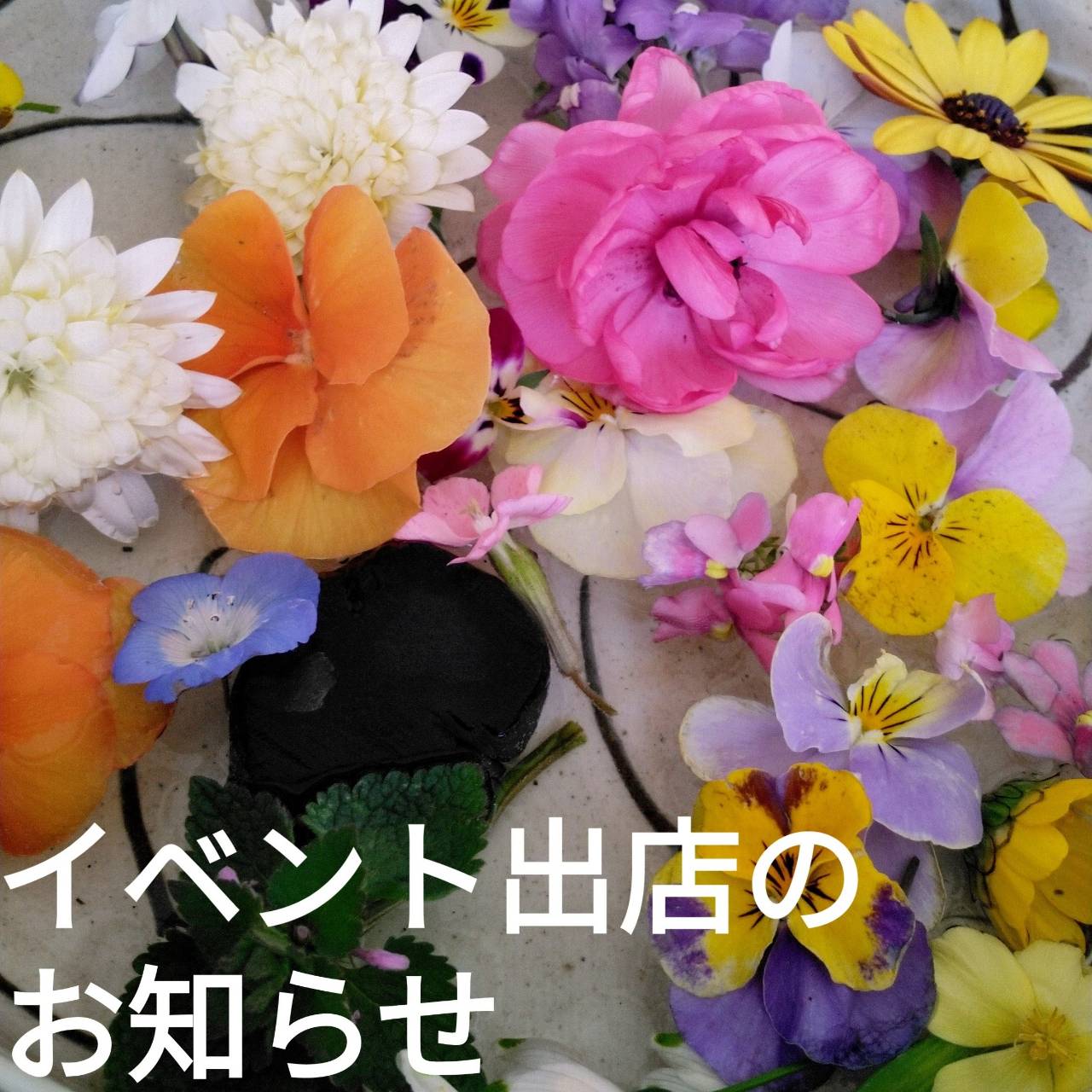 ２０２５．１．１０  へちま便り 「出店イベントのお知らせ」
