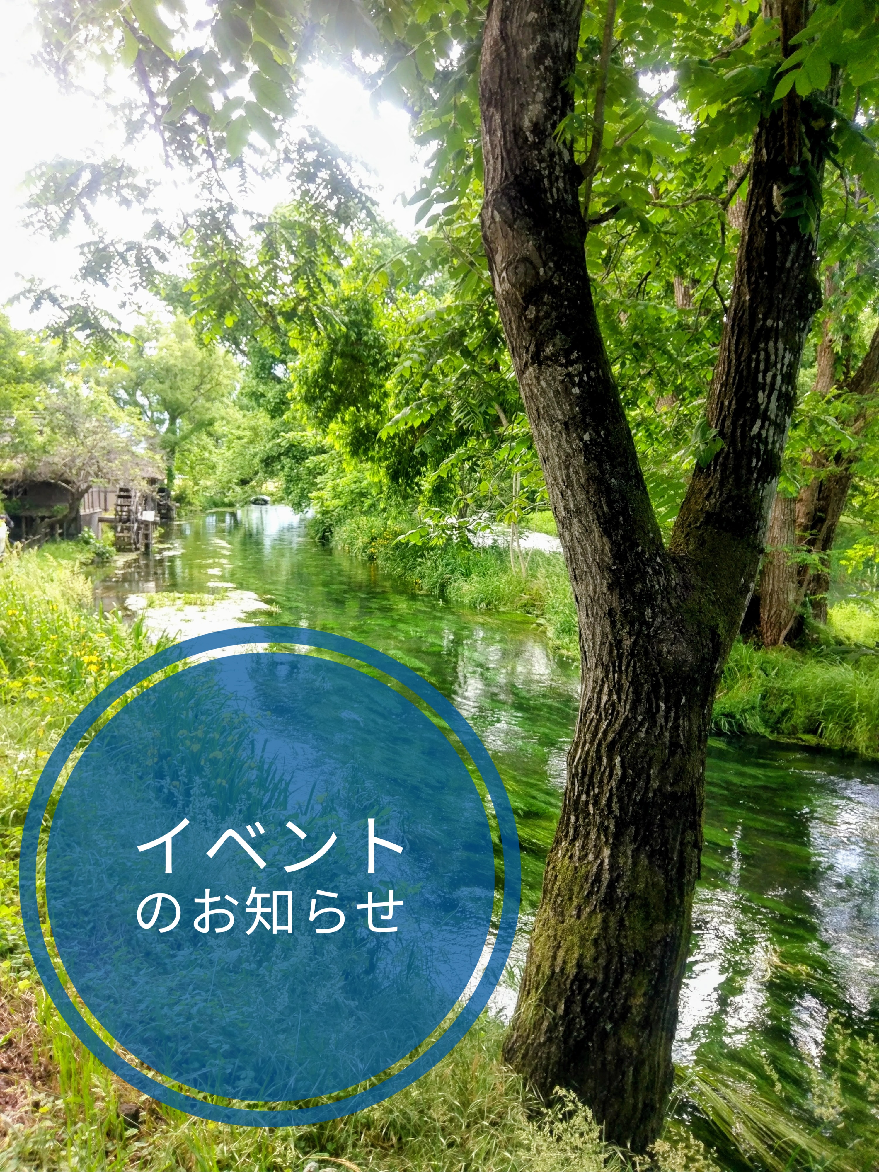 ２０２５．５．３  へちま便り 「イベントのお知らせ～６月～」
