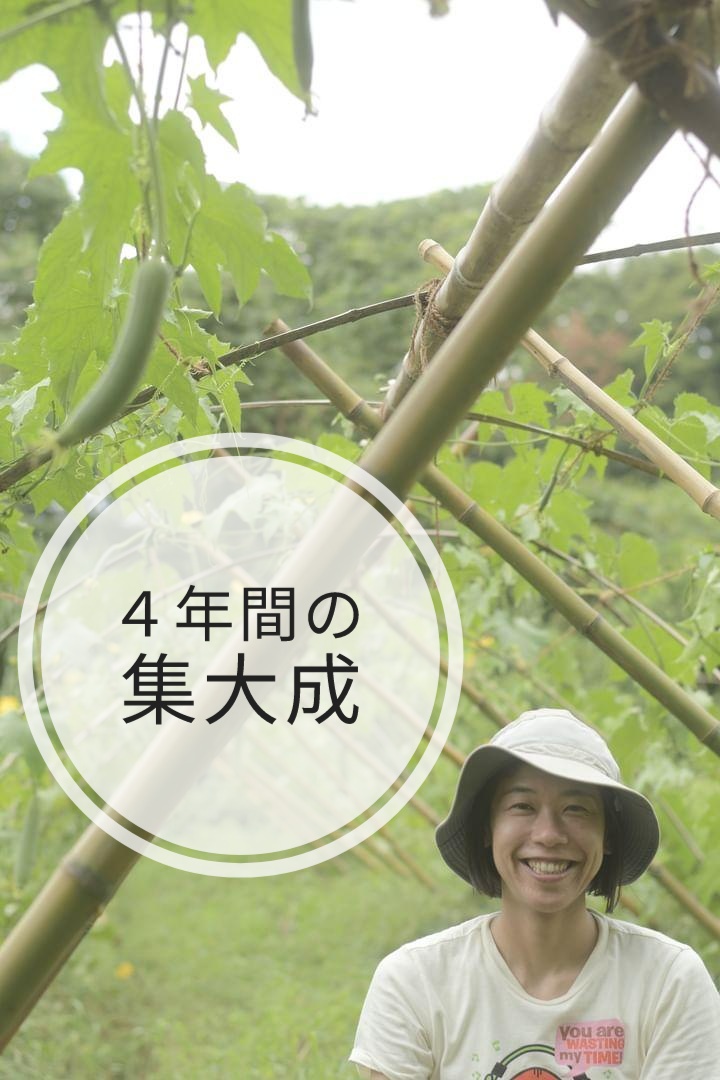 ２０２４．３．１１  へちま便り 「４年間の集大成」