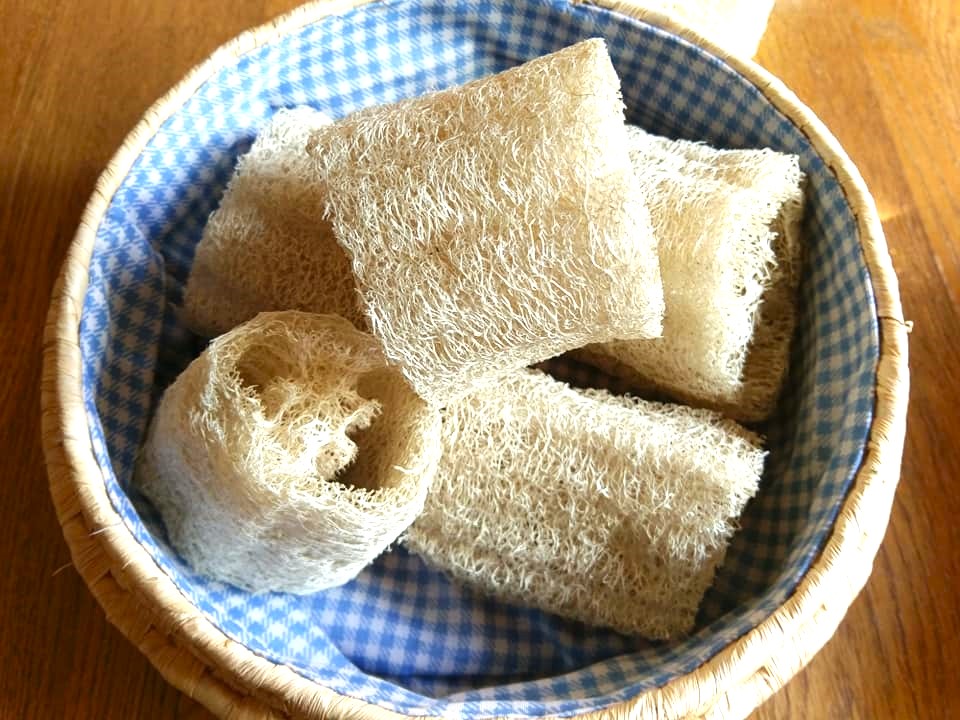 ２０２３．１２．２６ 「へちまたわしのご紹介」