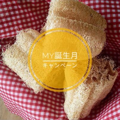 ２０２４．１１．６　へちま便り「my誕生月キャンペーン」