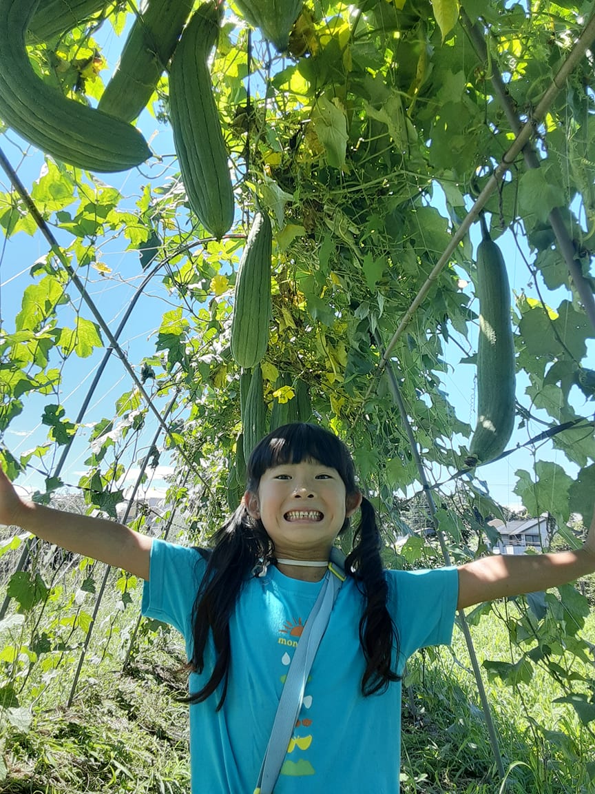 ２０２２．１０．７　へちま便り「へちま写真集vol.5」