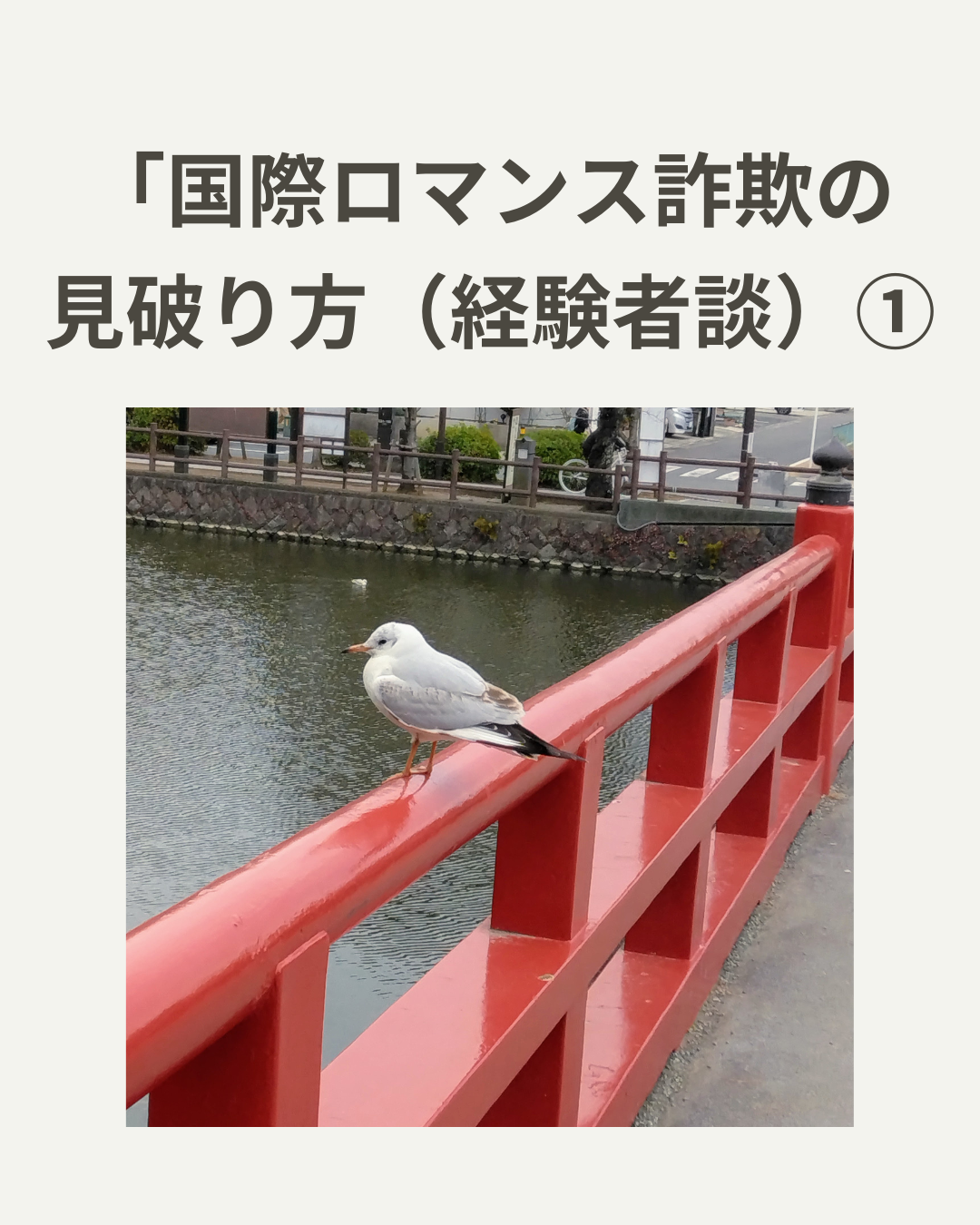 ２０２６．１．２２  へちま便り 【国際ロマンス詐欺の見破り方（経験者談）①】