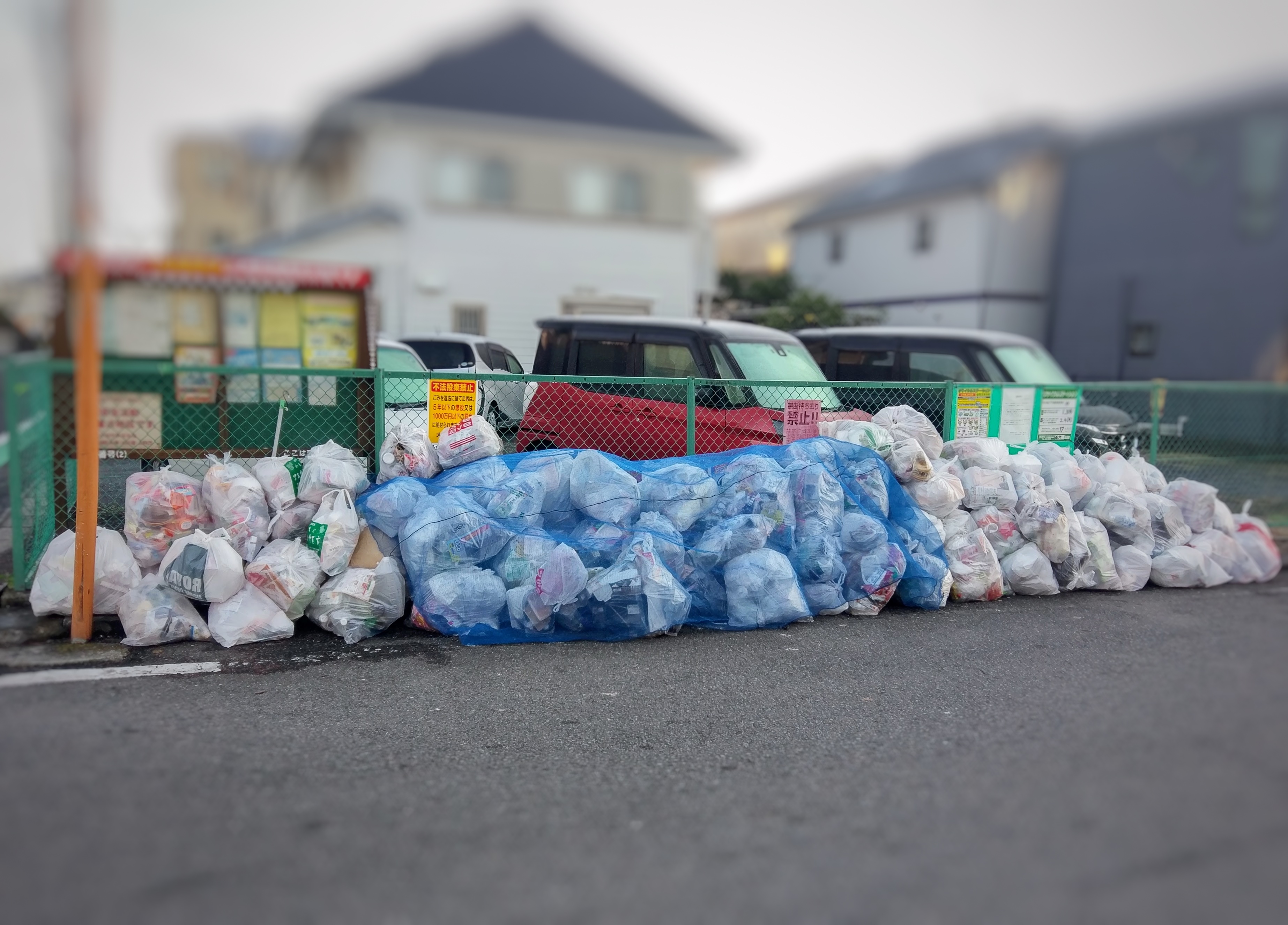 ２０２６．１．１５     へちま便り  【減プラキャンペーン参加者募集中】