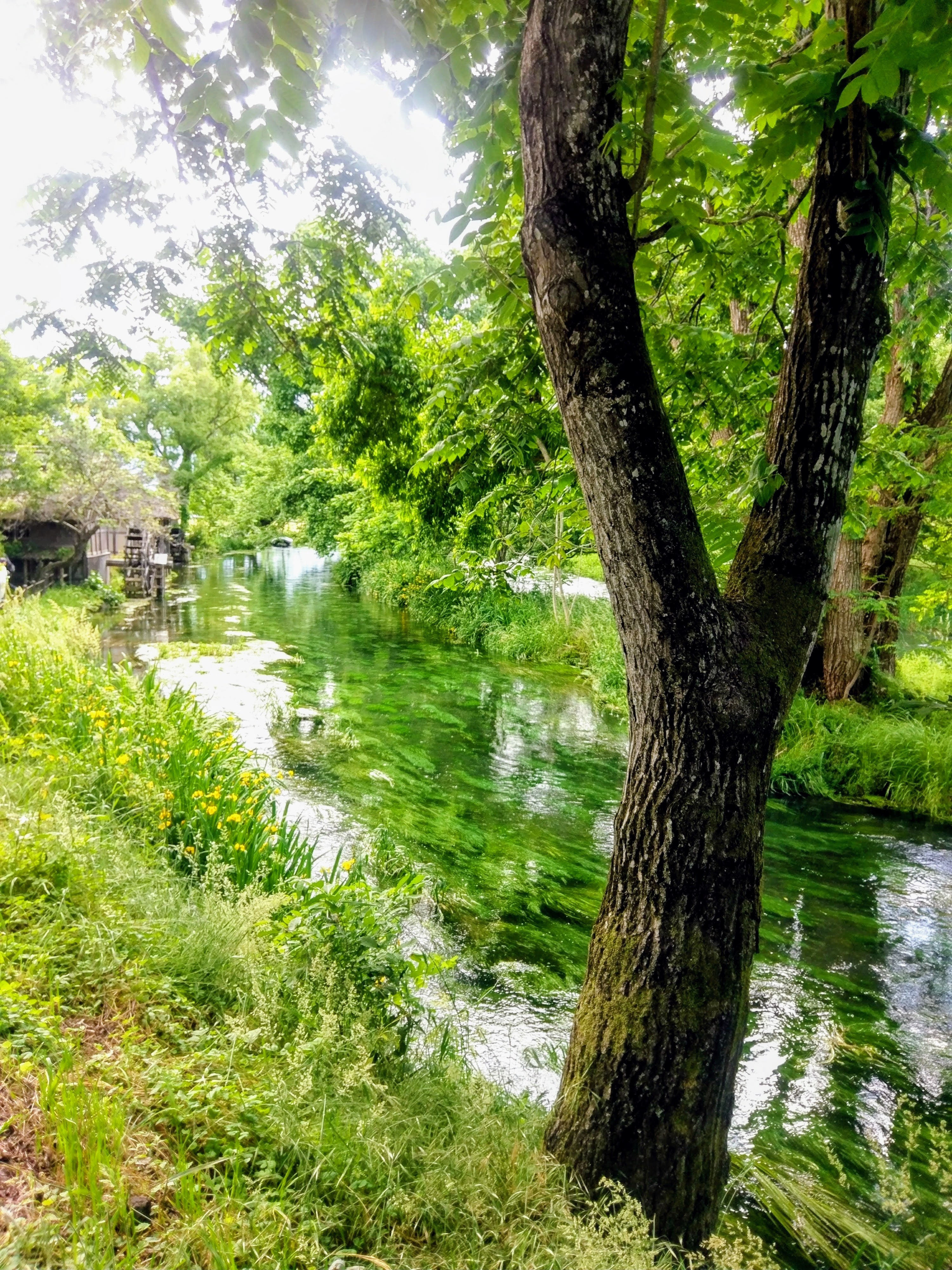 2025.11.5 へちま便り 【意味不明な独り言】