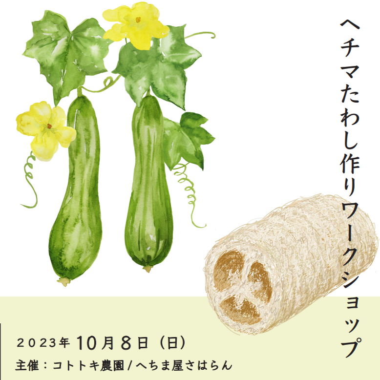 ２０２３．９．２８  へちま便り 「へちまたわし作りワークショップ」