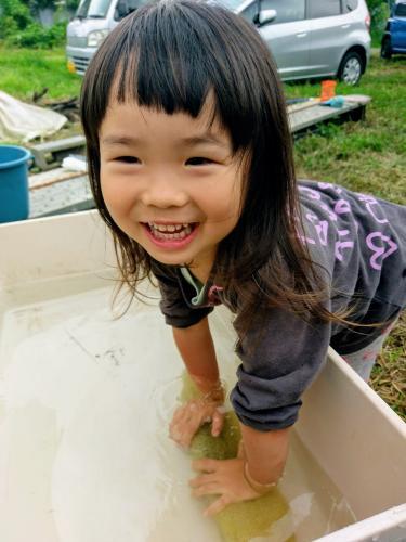 ２０２５．１２．１１     へちま便り  【へちまたわし作りの楽しさ】